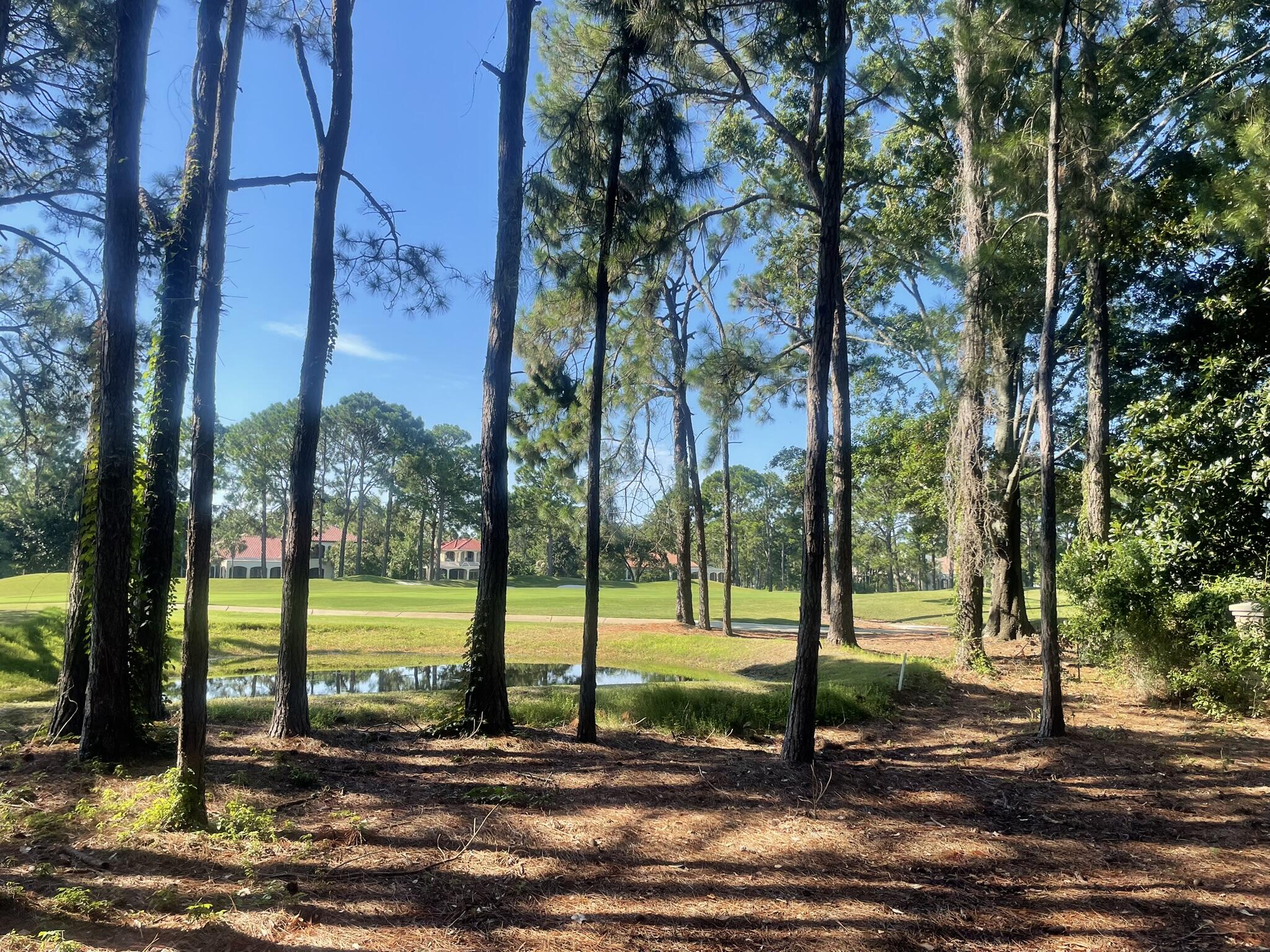 3296 Burnt Pine Lane