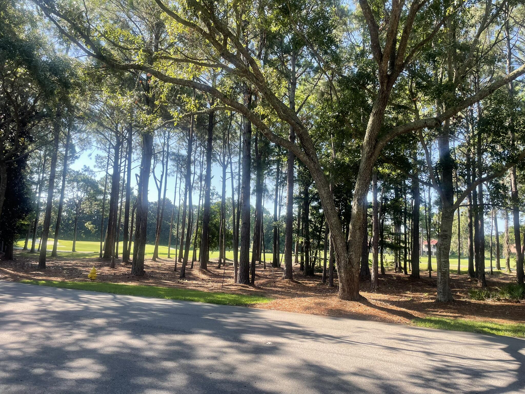 3296 Burnt Pine Lane