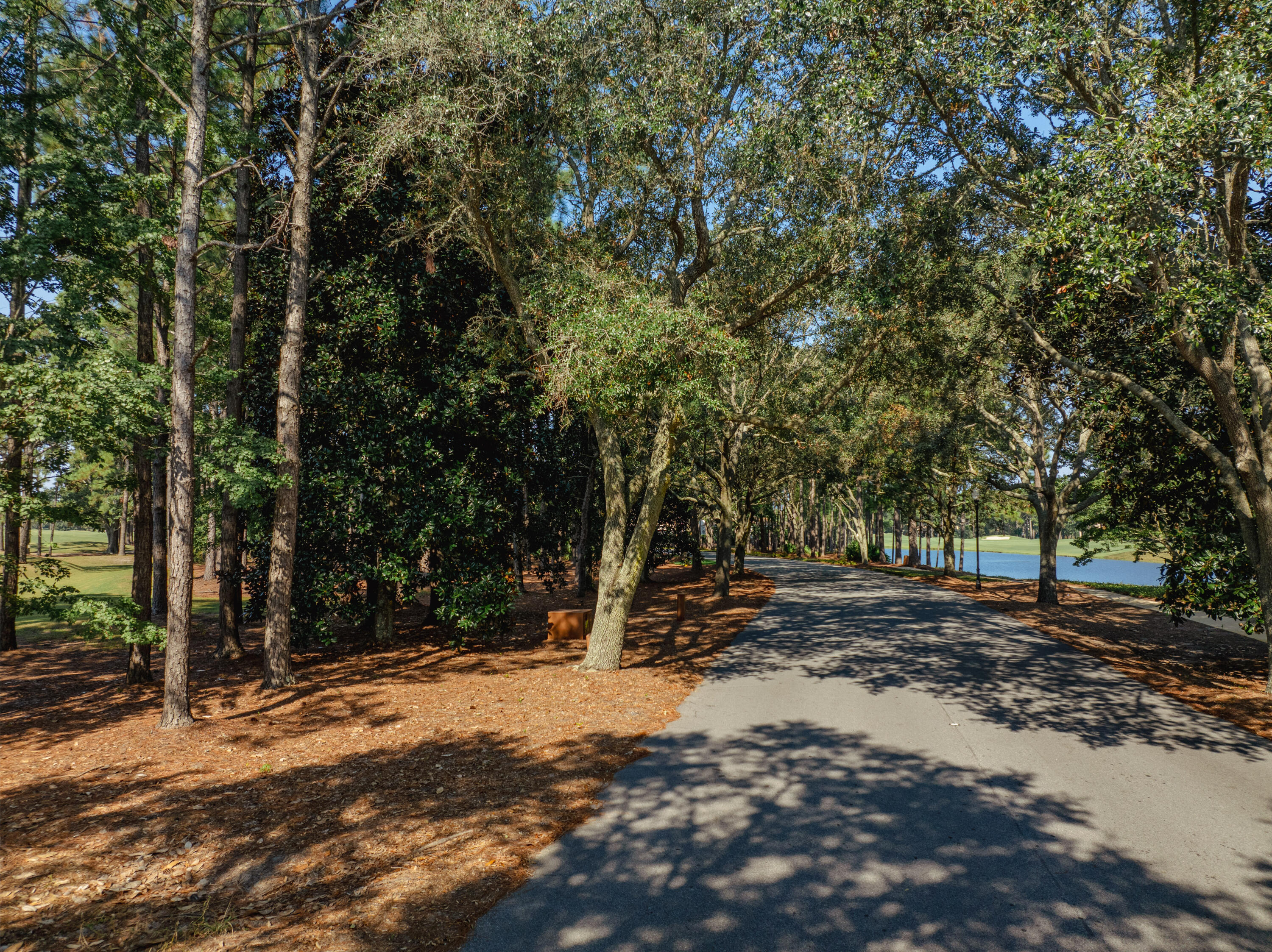 3295 Burnt Pine Lane