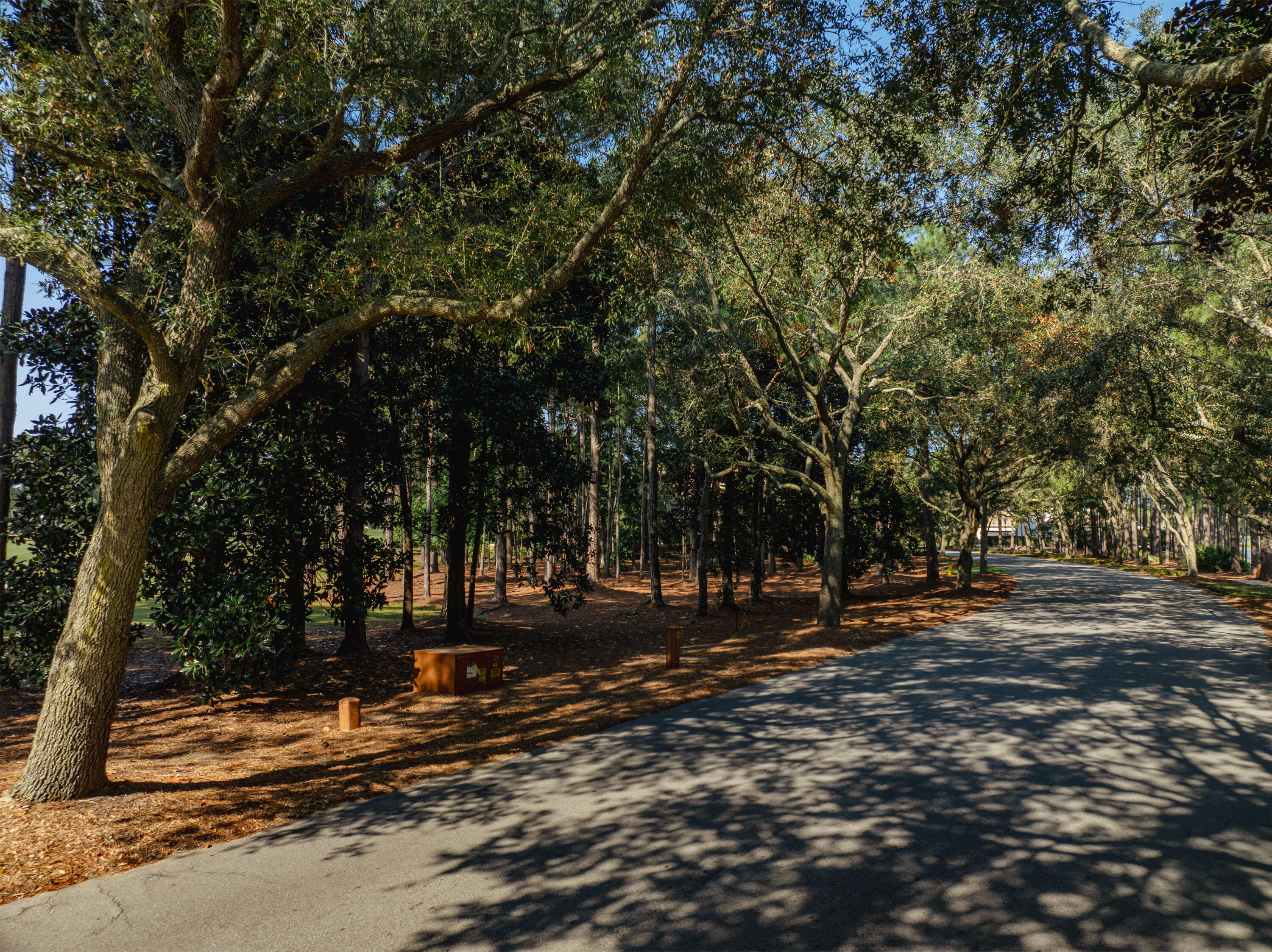 3295 Burnt Pine Lane