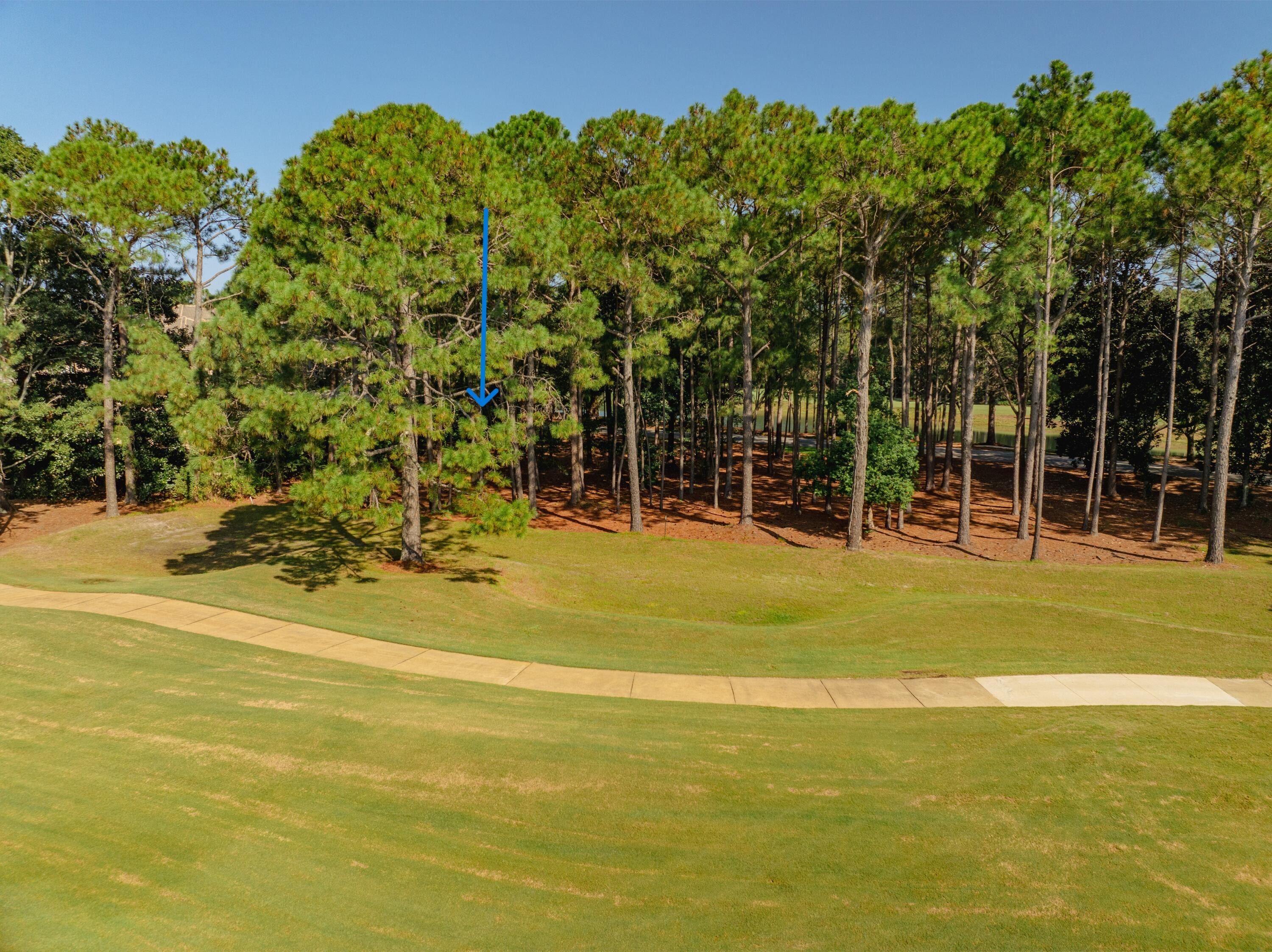 3295 Burnt Pine Lane