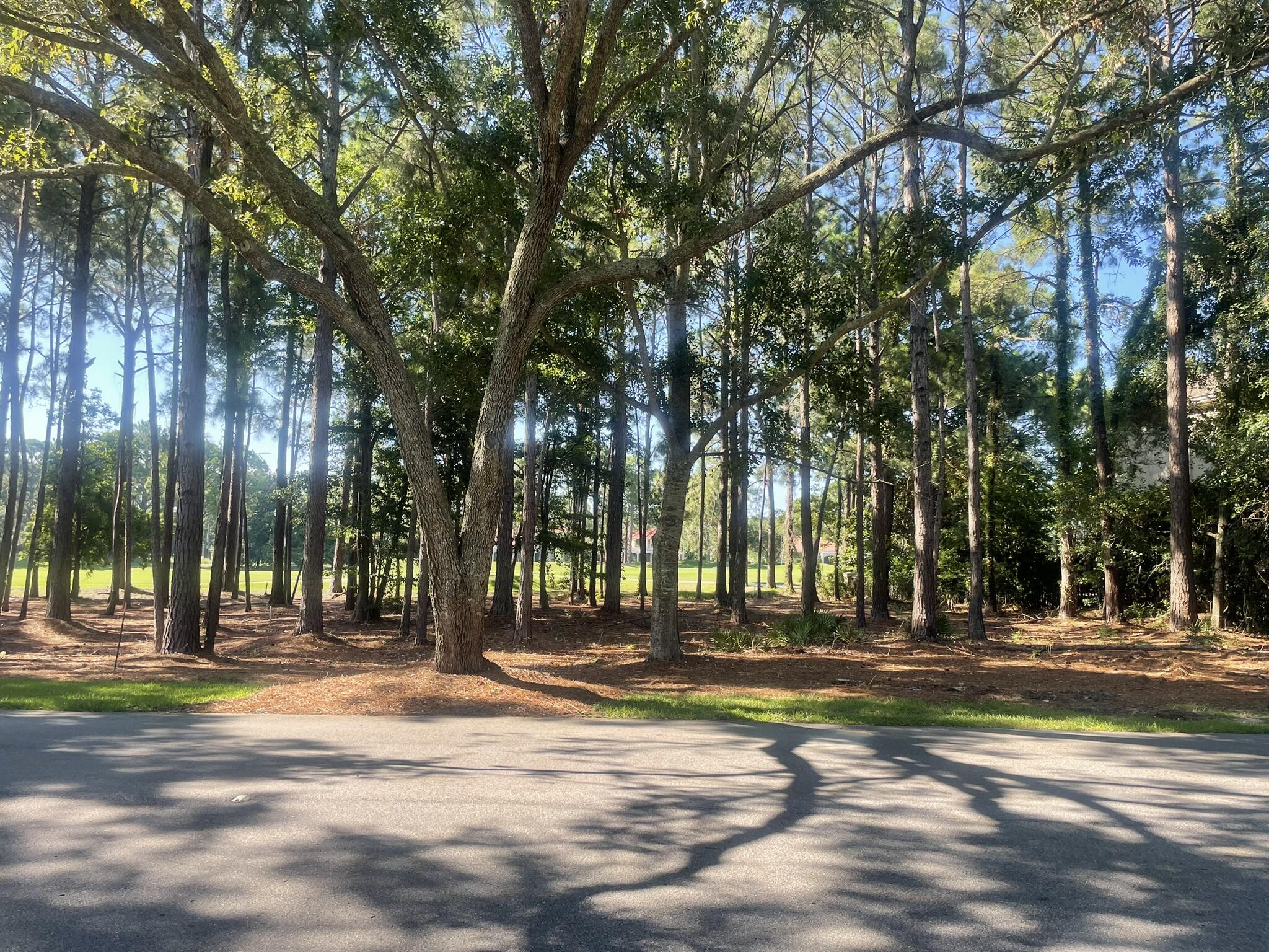 3295 Burnt Pine Lane