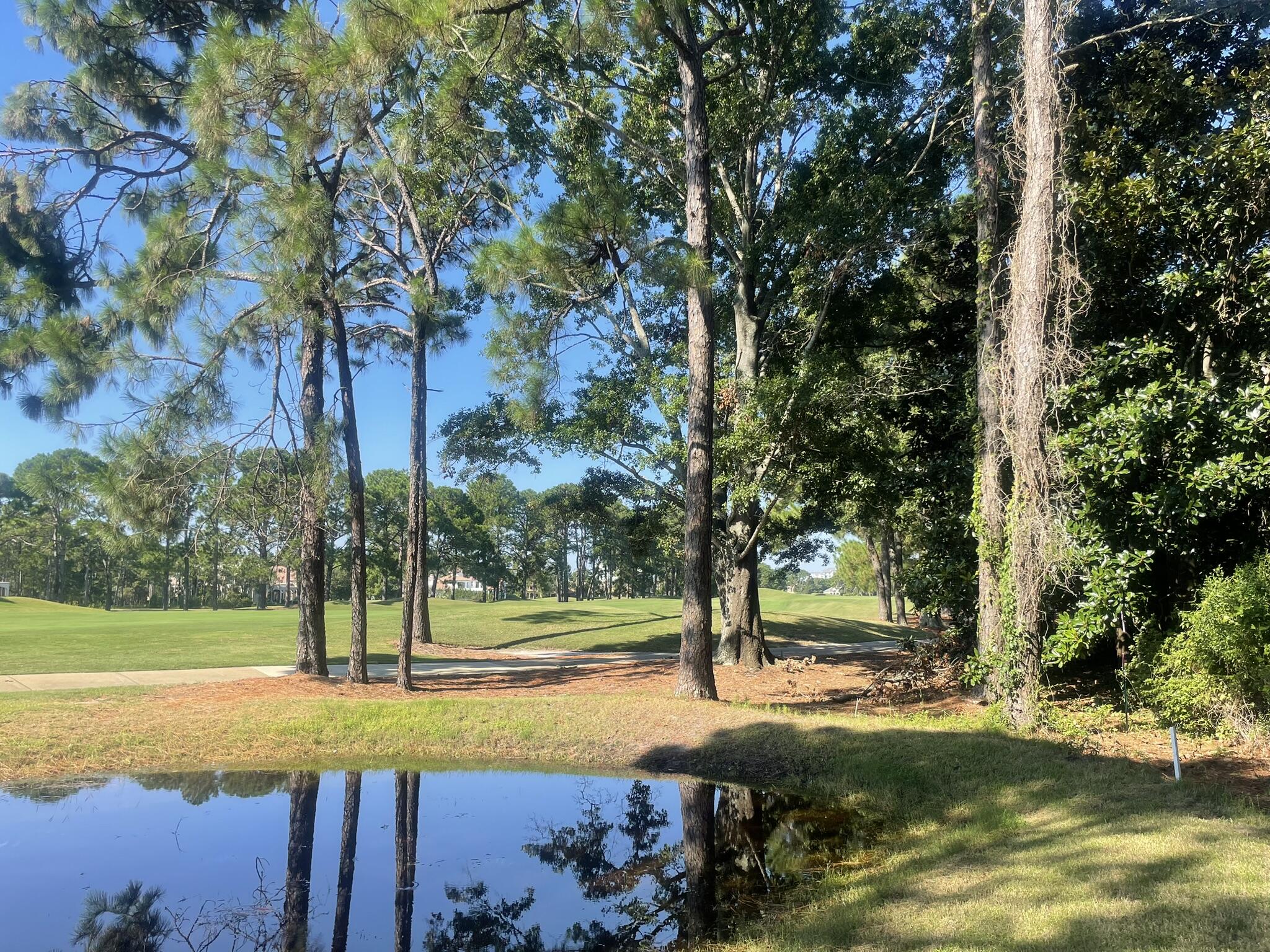 3295 Burnt Pine Lane