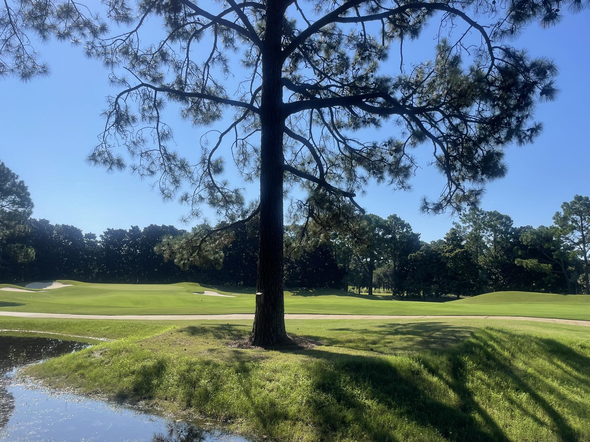 3295 Burnt Pine Lane