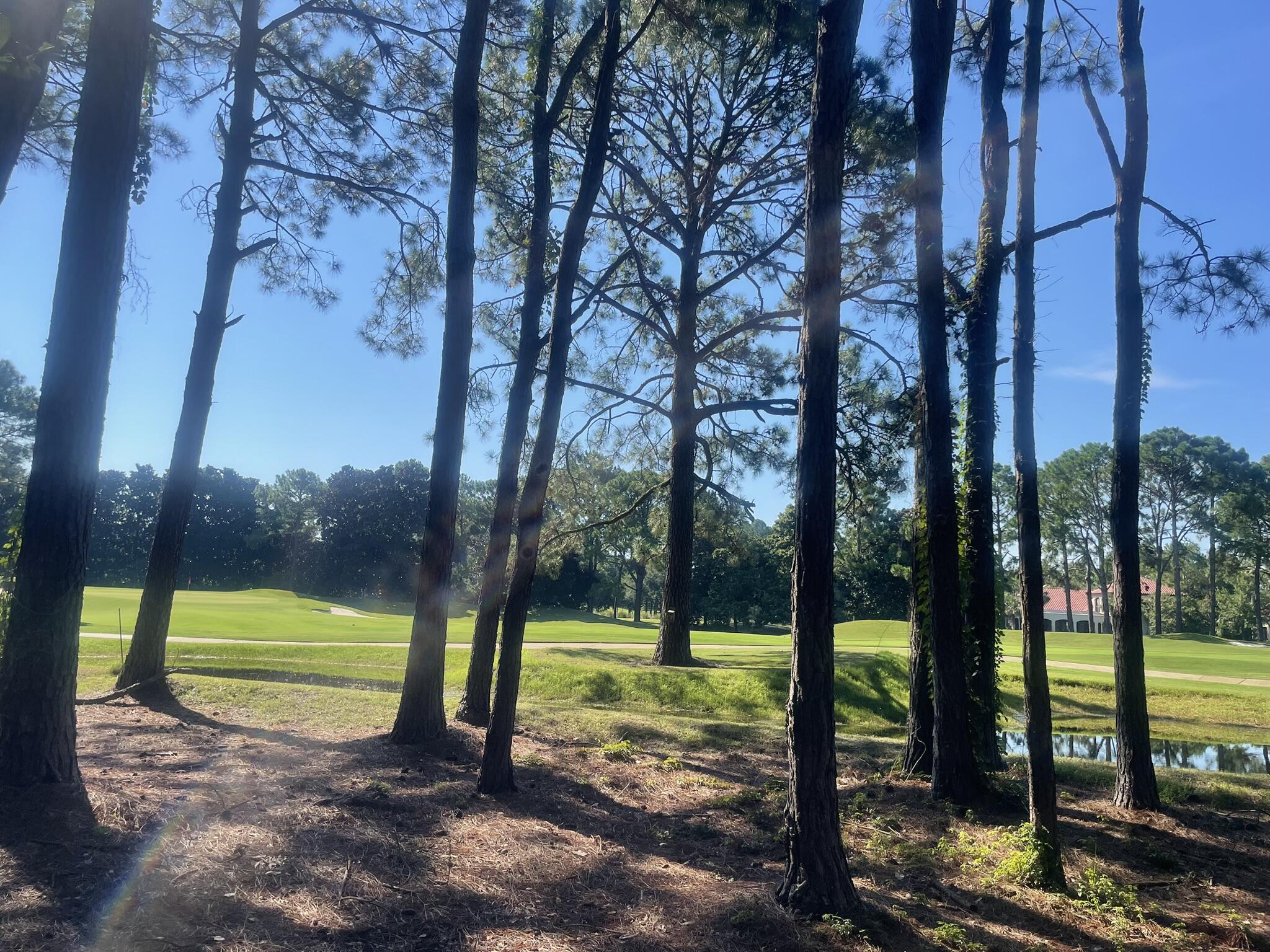 3295 Burnt Pine Lane