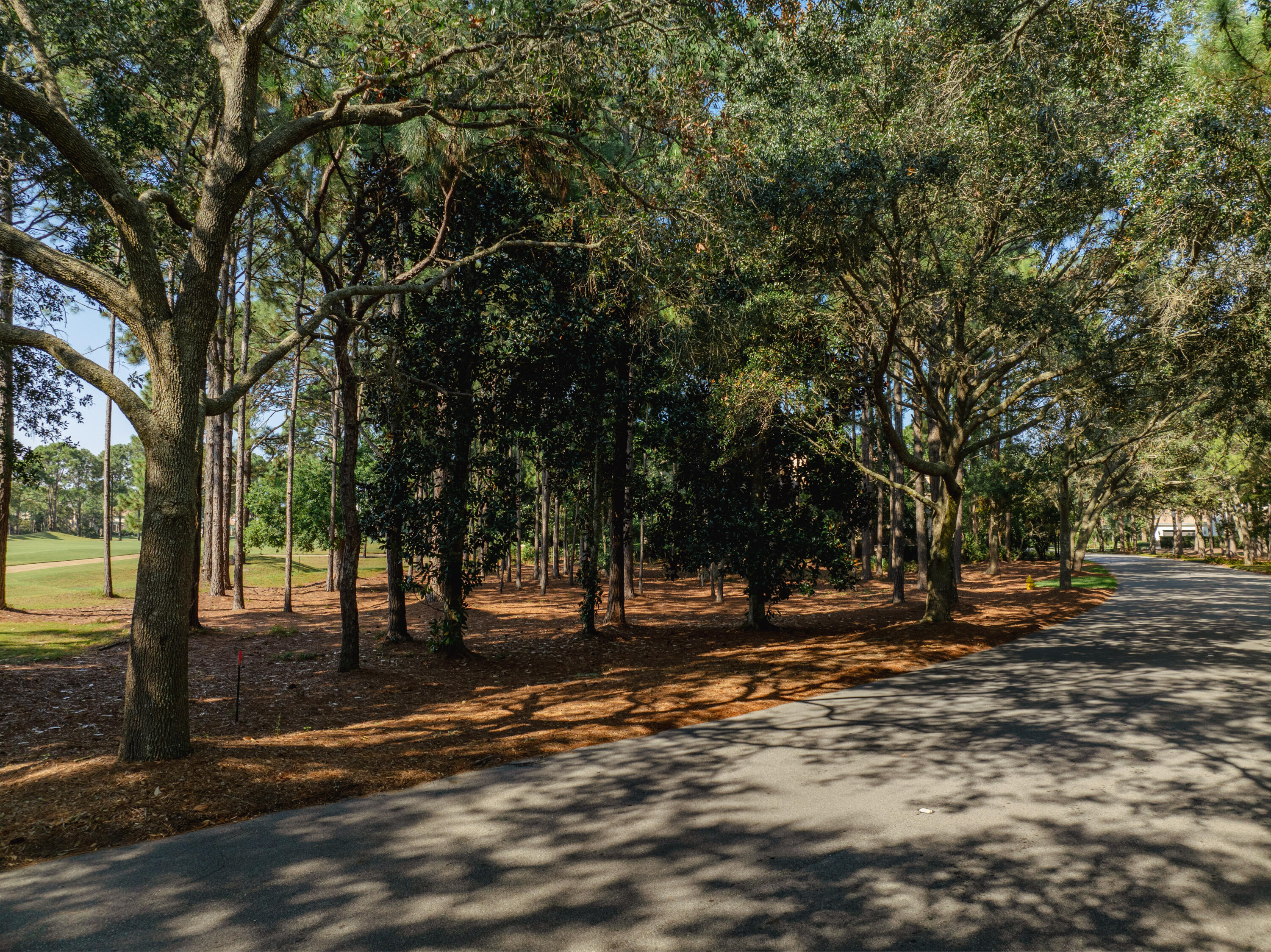 3295 Burnt Pine Lane