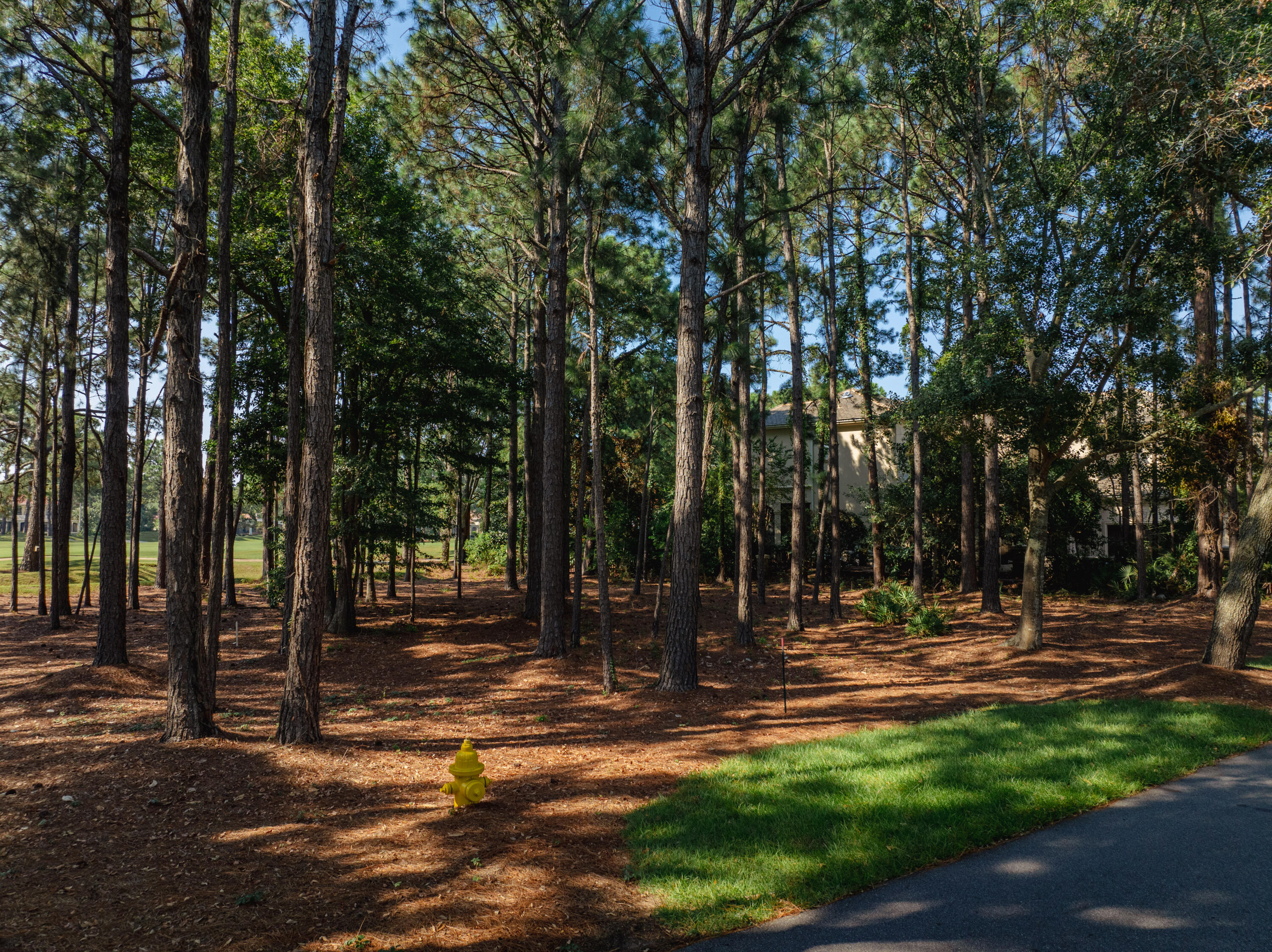 3295 Burnt Pine Lane