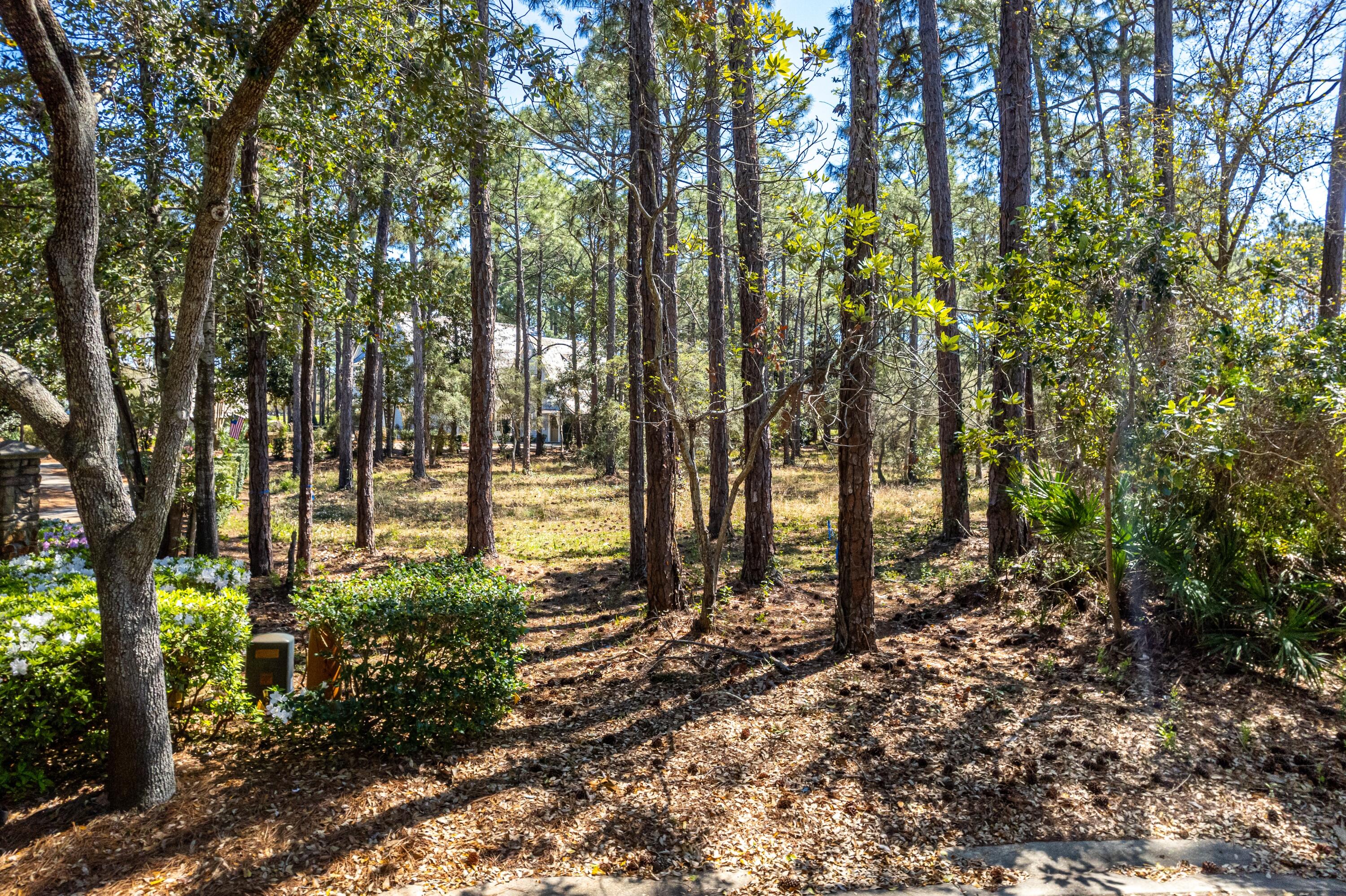 3114 Merion Drive