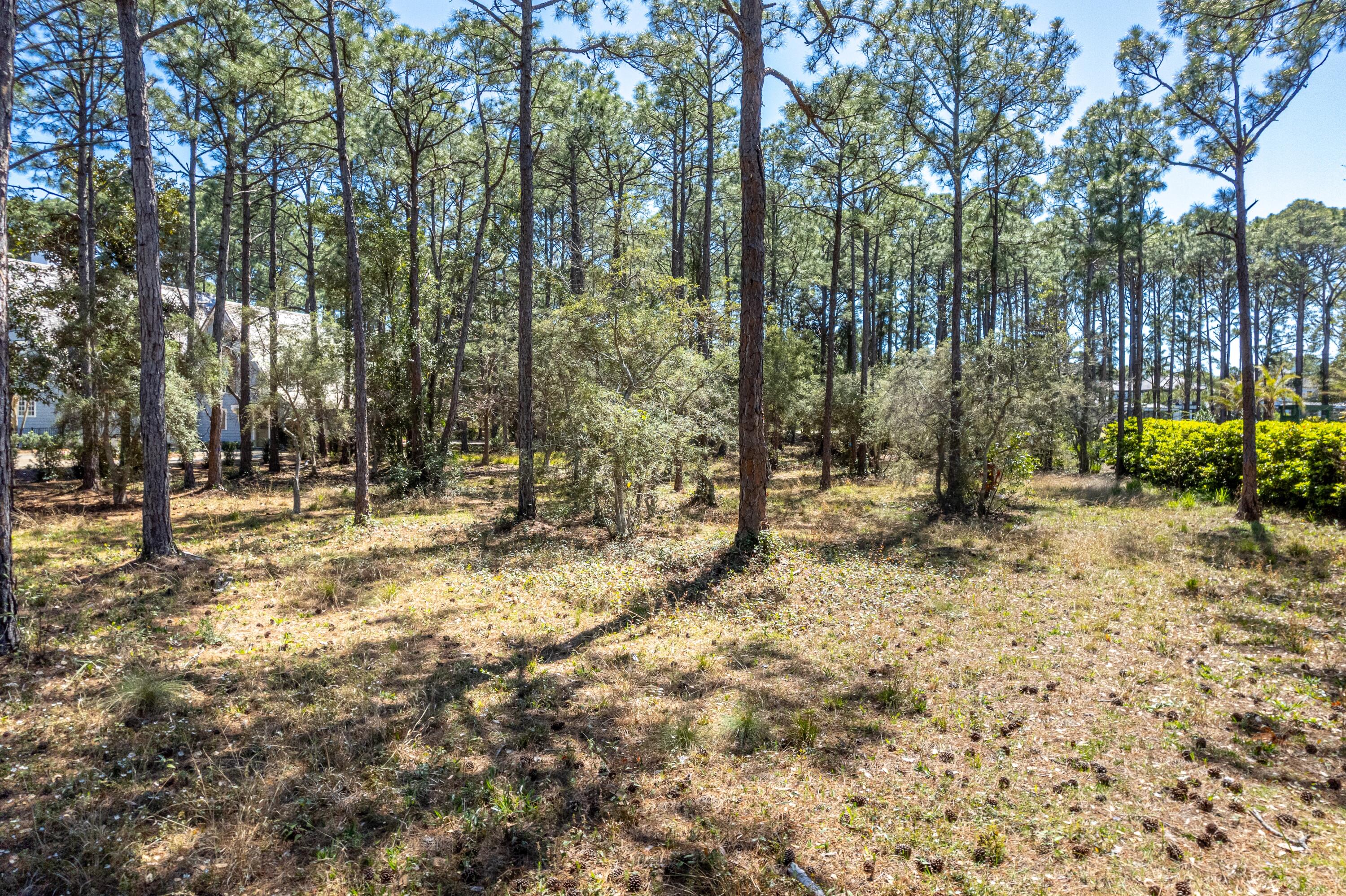 3114 Merion Drive