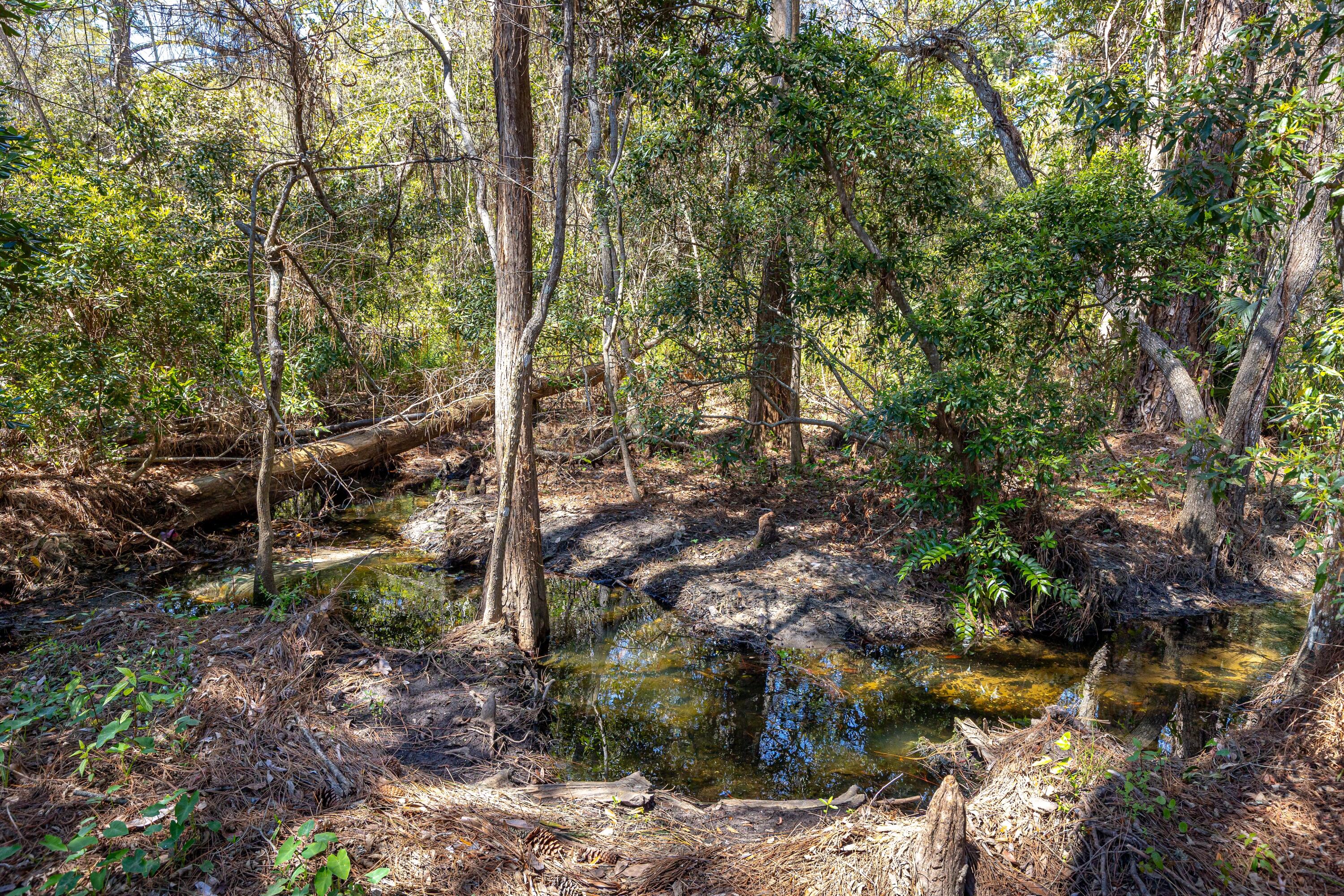 8821 St Andrews Drive