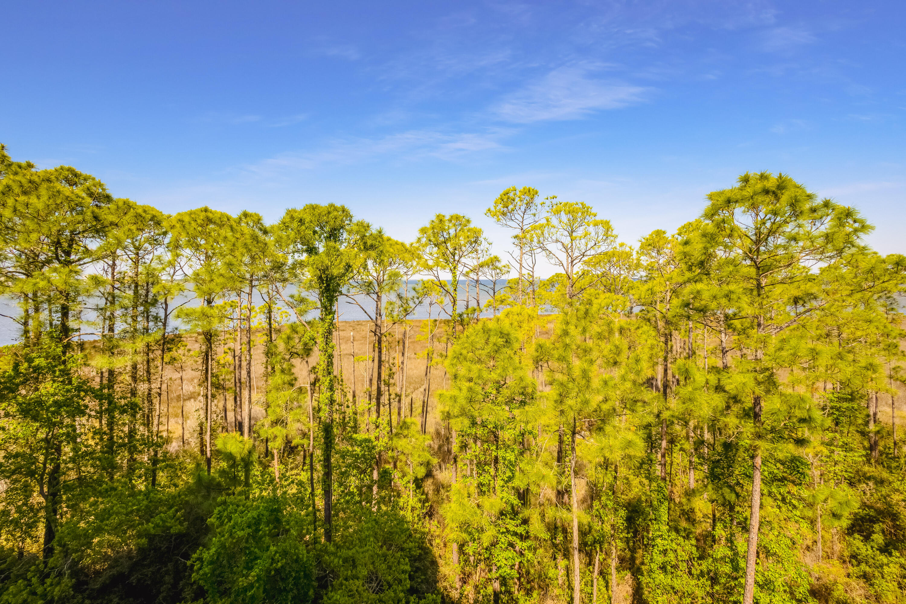 9700 Grand Sandestin Boulevard, 4412