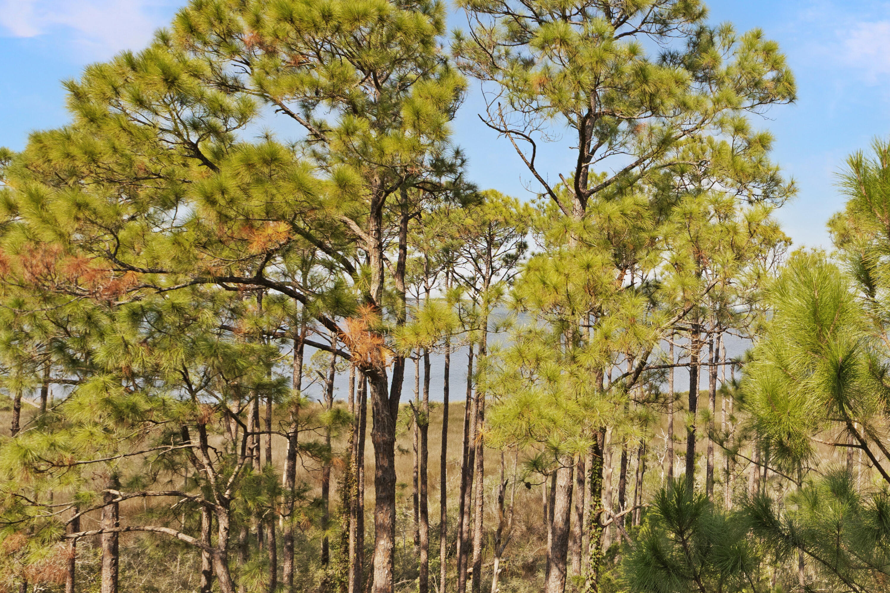 9600 Grand Sandestin Boulevard, UNIT 3418