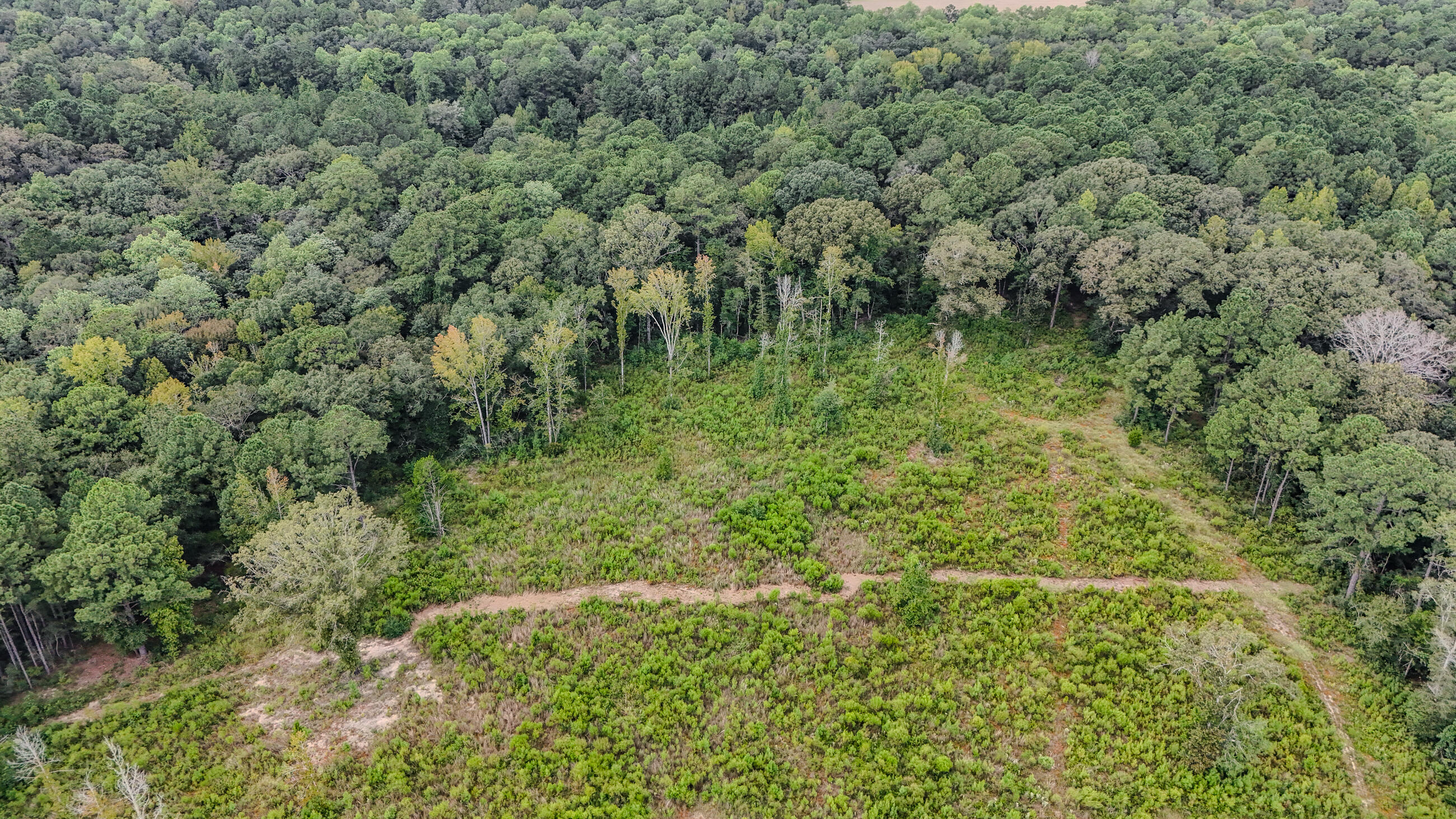 444 Tall Oaks Road, DeFuniak Springs