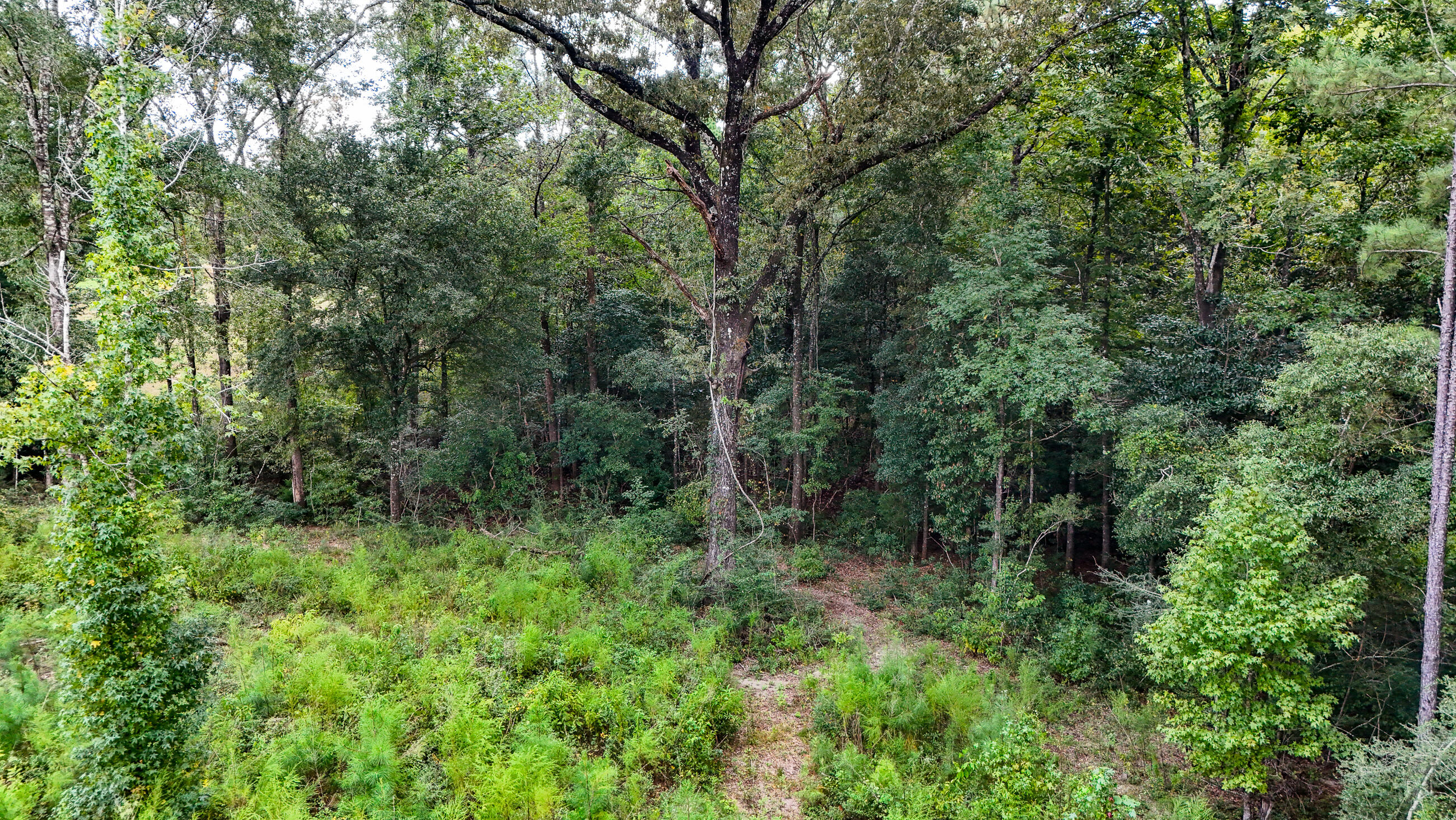 444 Tall Oaks Road, DeFuniak Springs