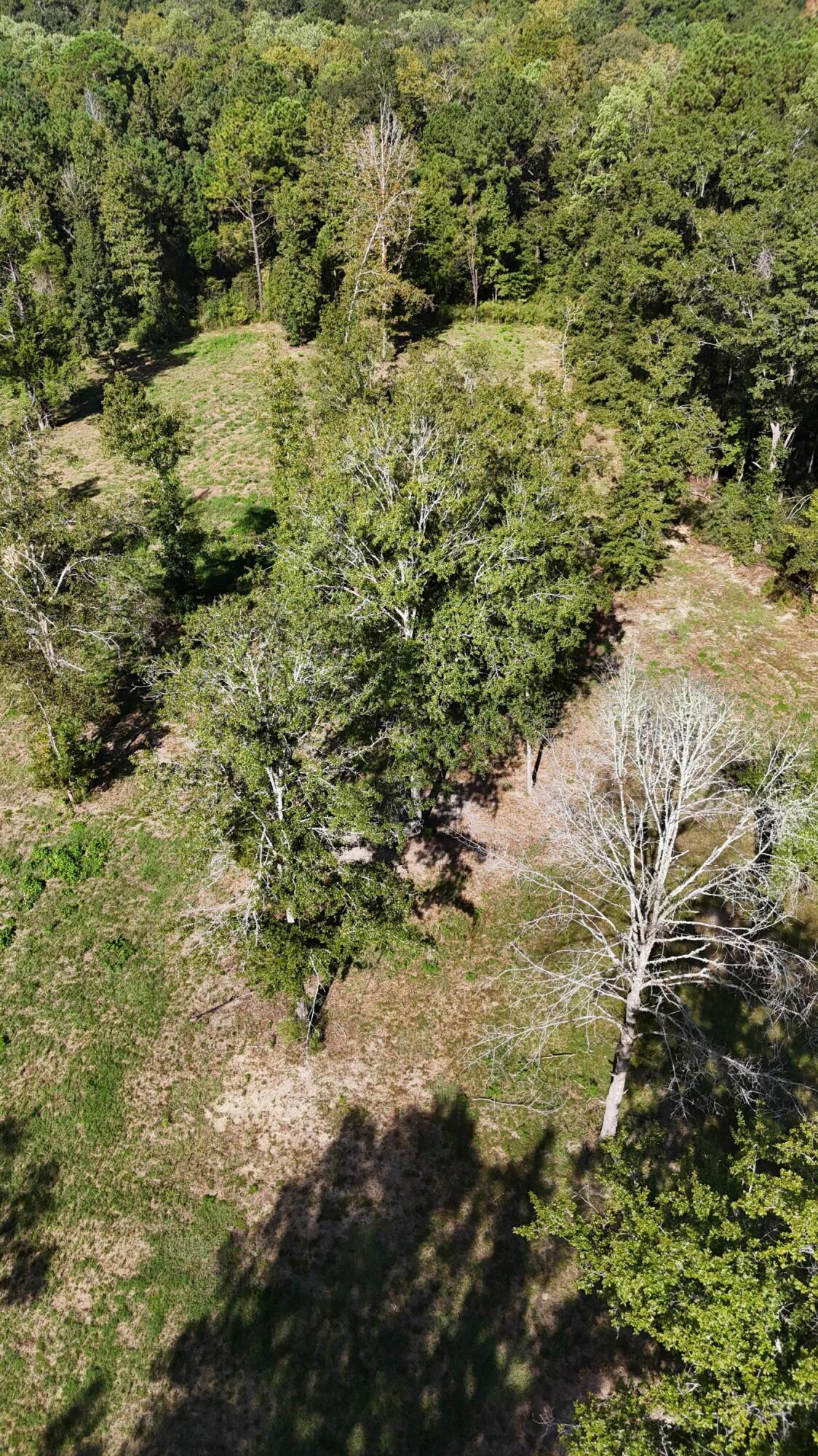 444 Tall Oaks Road, DeFuniak Springs