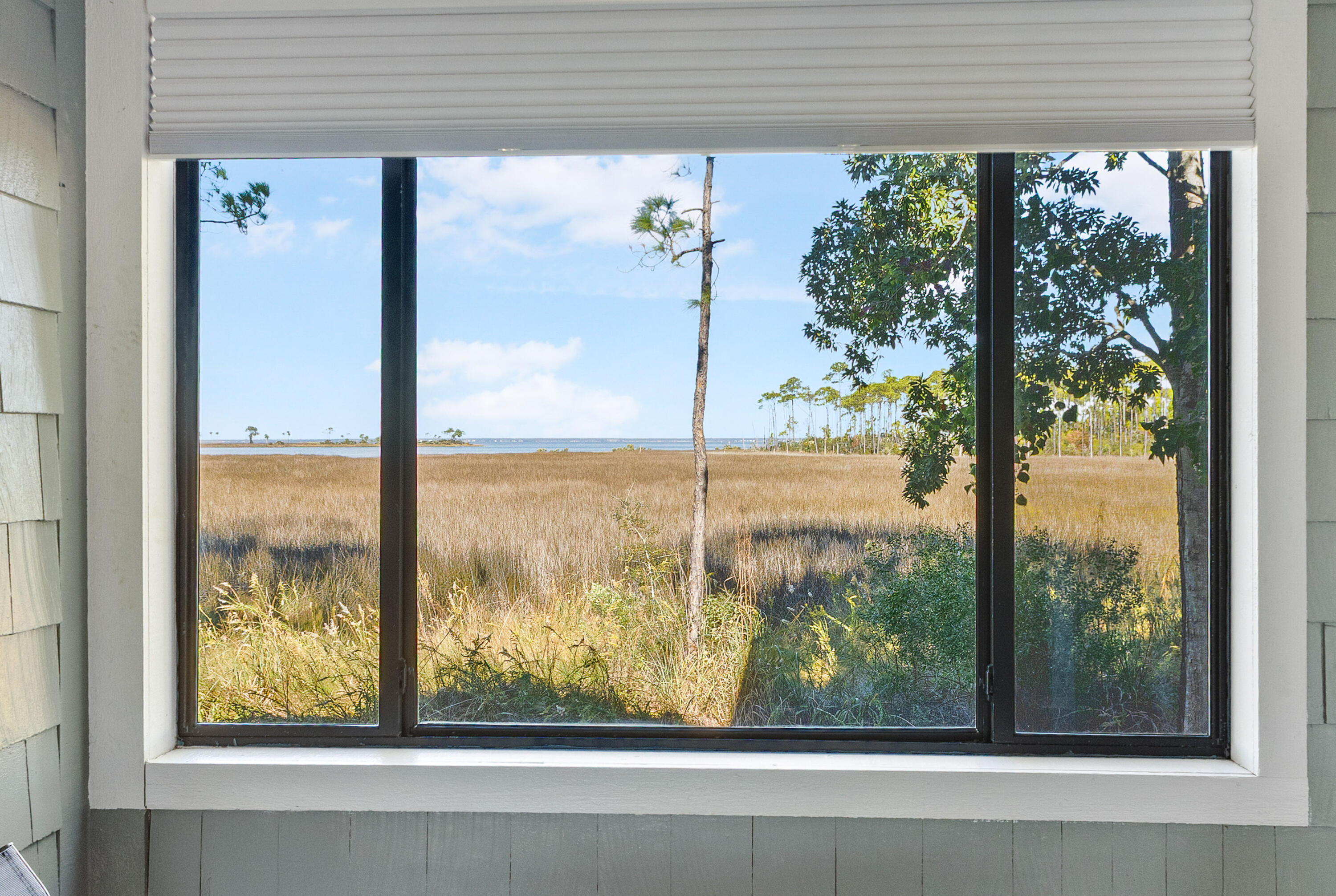 8972 Heron Walk Drive, # 8972