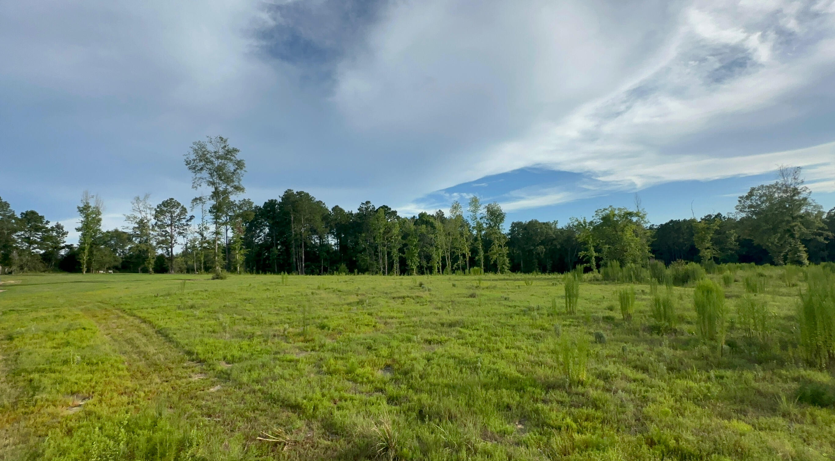 444-01 Tall Oaks Road, DeFuniak Springs