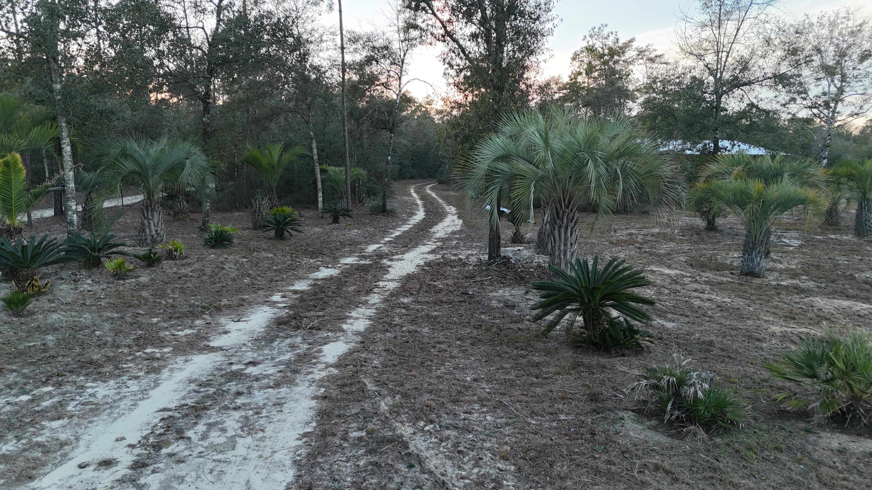 xx St Highway 83, DeFuniak Springs