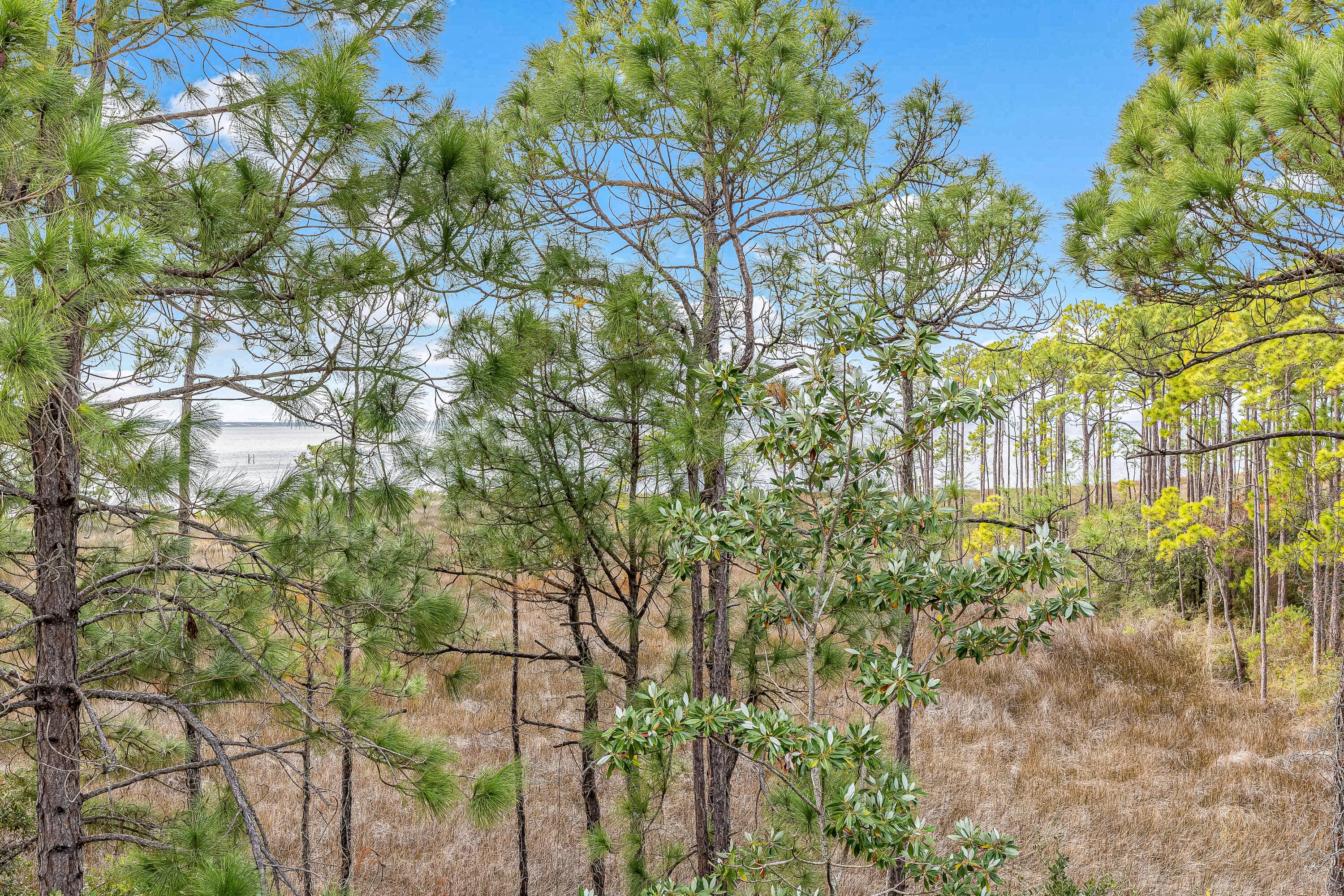 9201 Market Street Inn 169