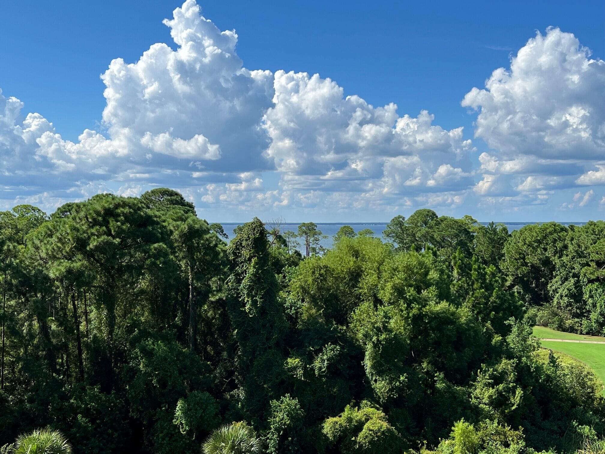 9800 Grand Sandestin Boulevard 5516