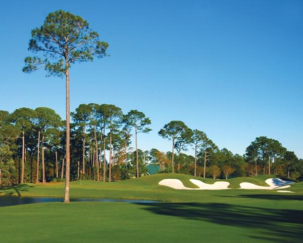 9600 Grand Sandestin Boulevard 3201