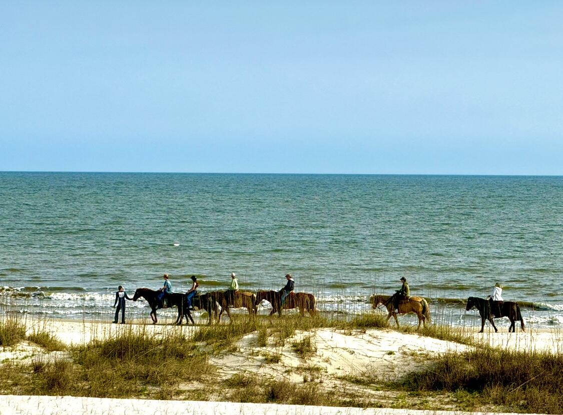 170 Gulf Pines Drive, Port St. Joe