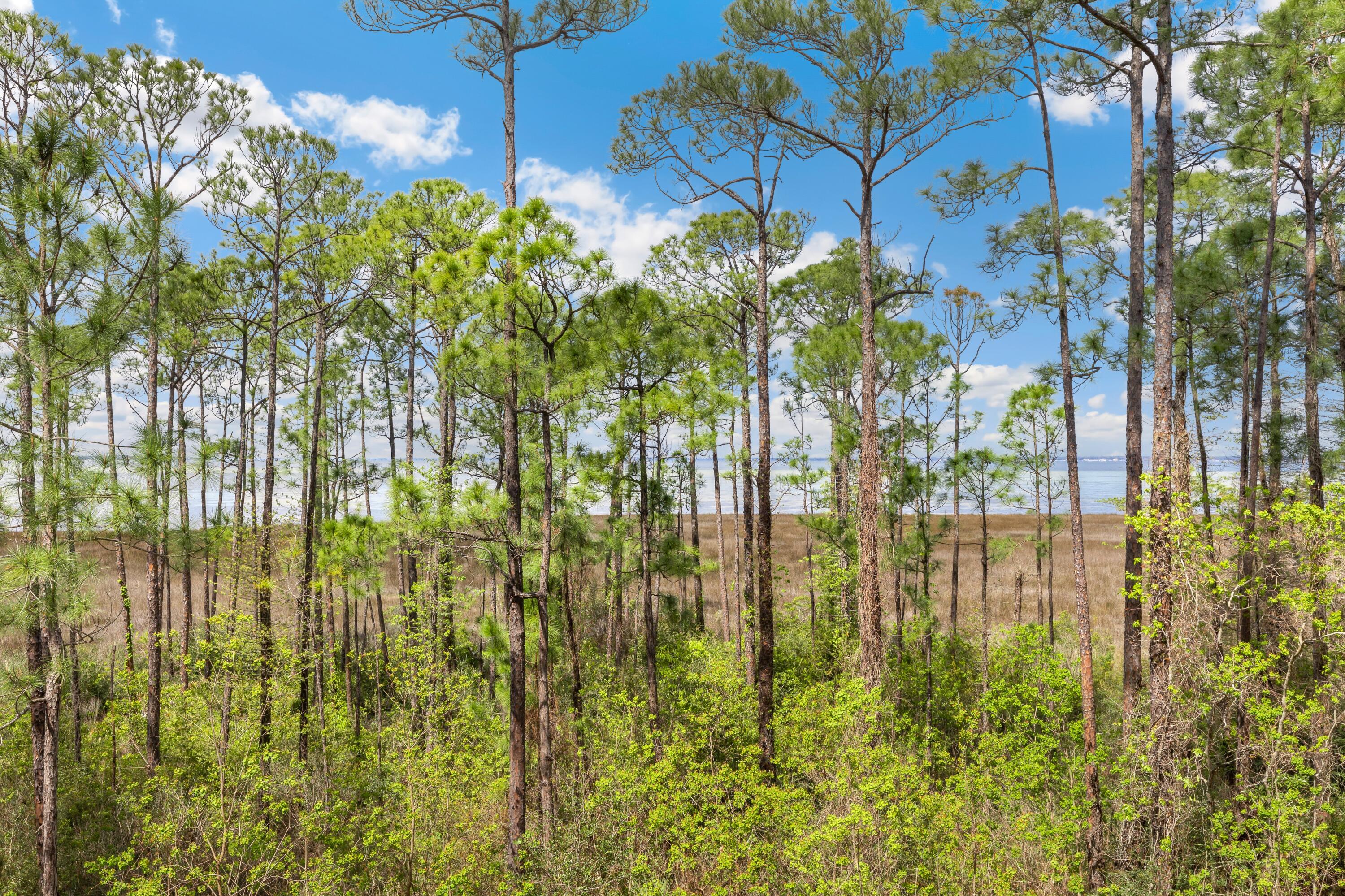 9700 Grand Sandestin Boulevard 4218/4220