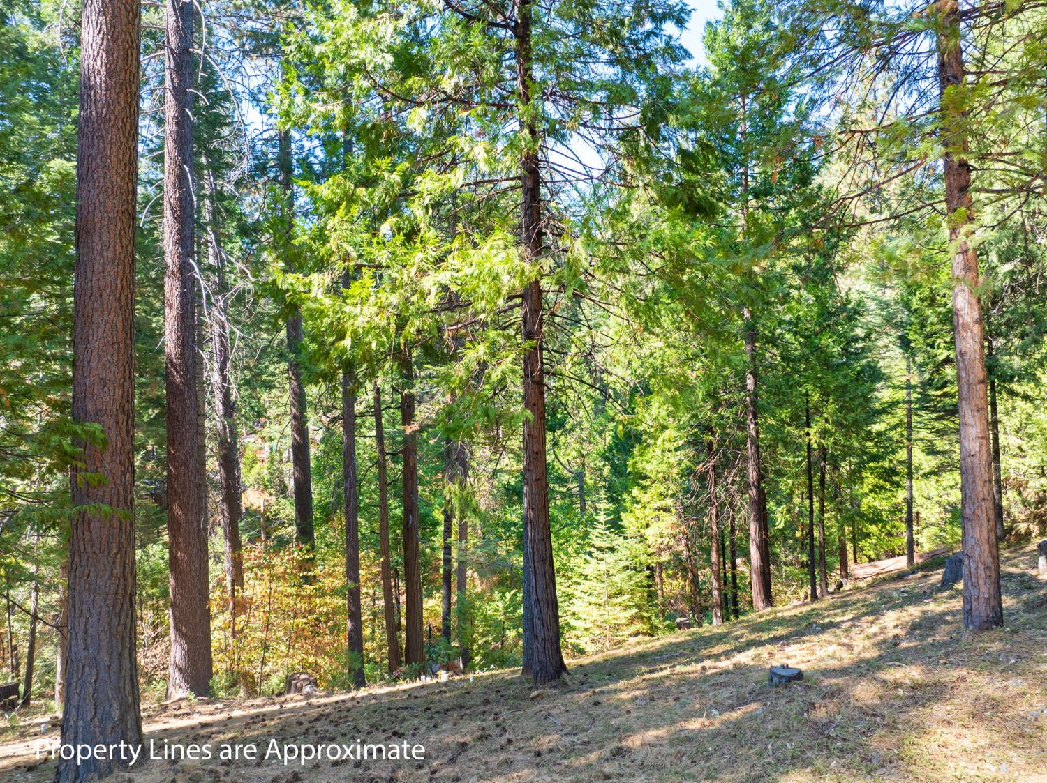 2785 Murphys Drive