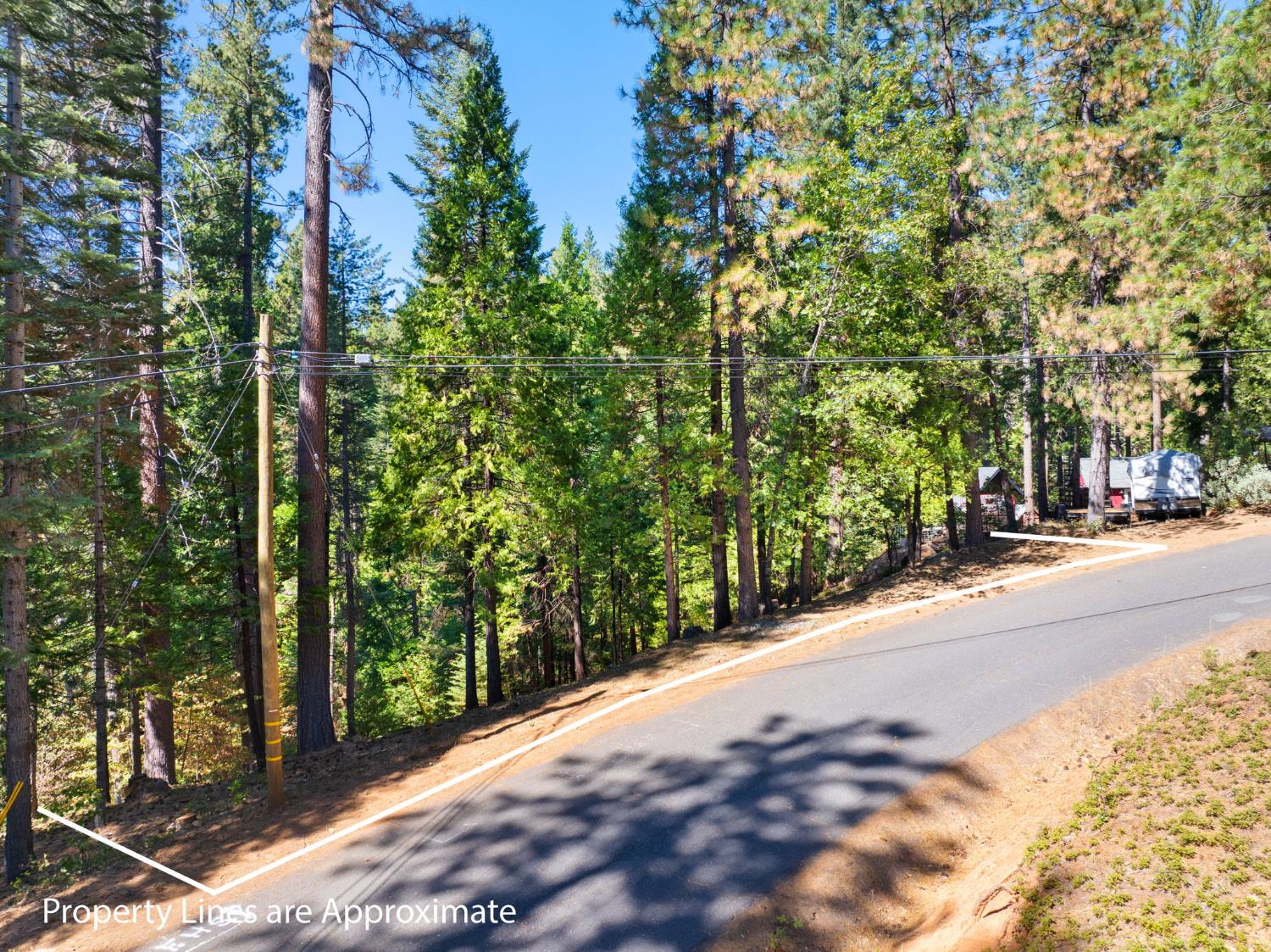 2785 Murphys Drive