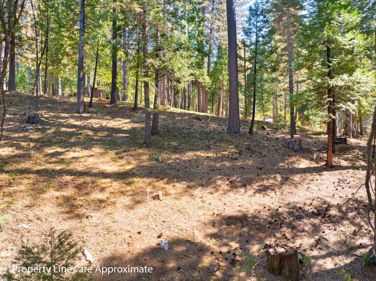 2785 Murphys Drive