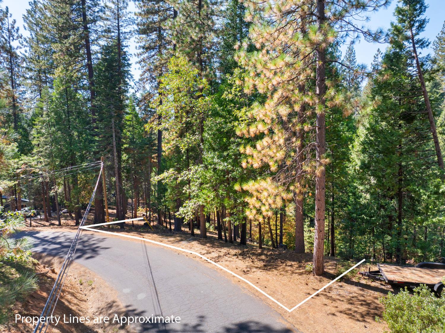 2785 Murphys Drive
