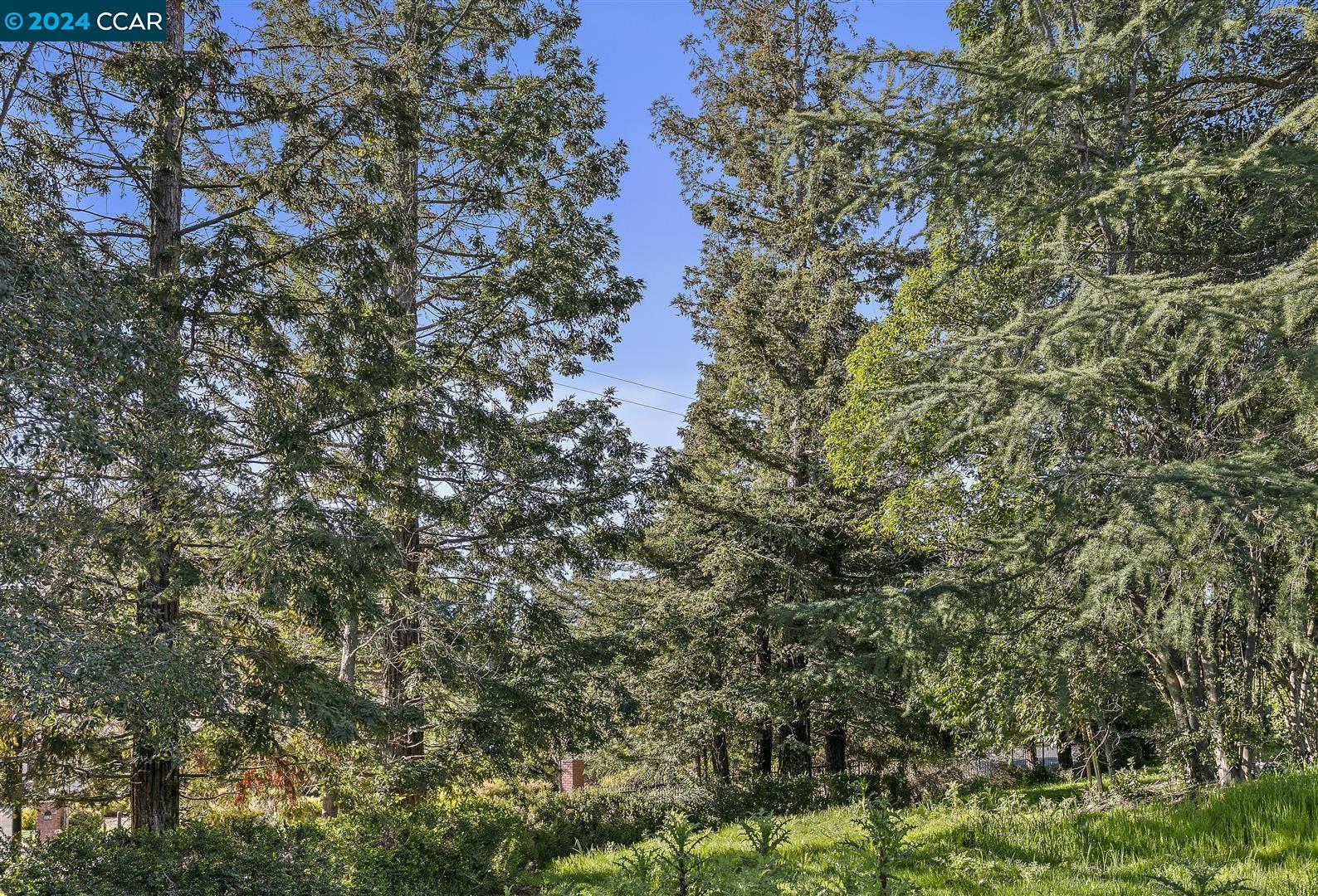 1110 Douglas Ct