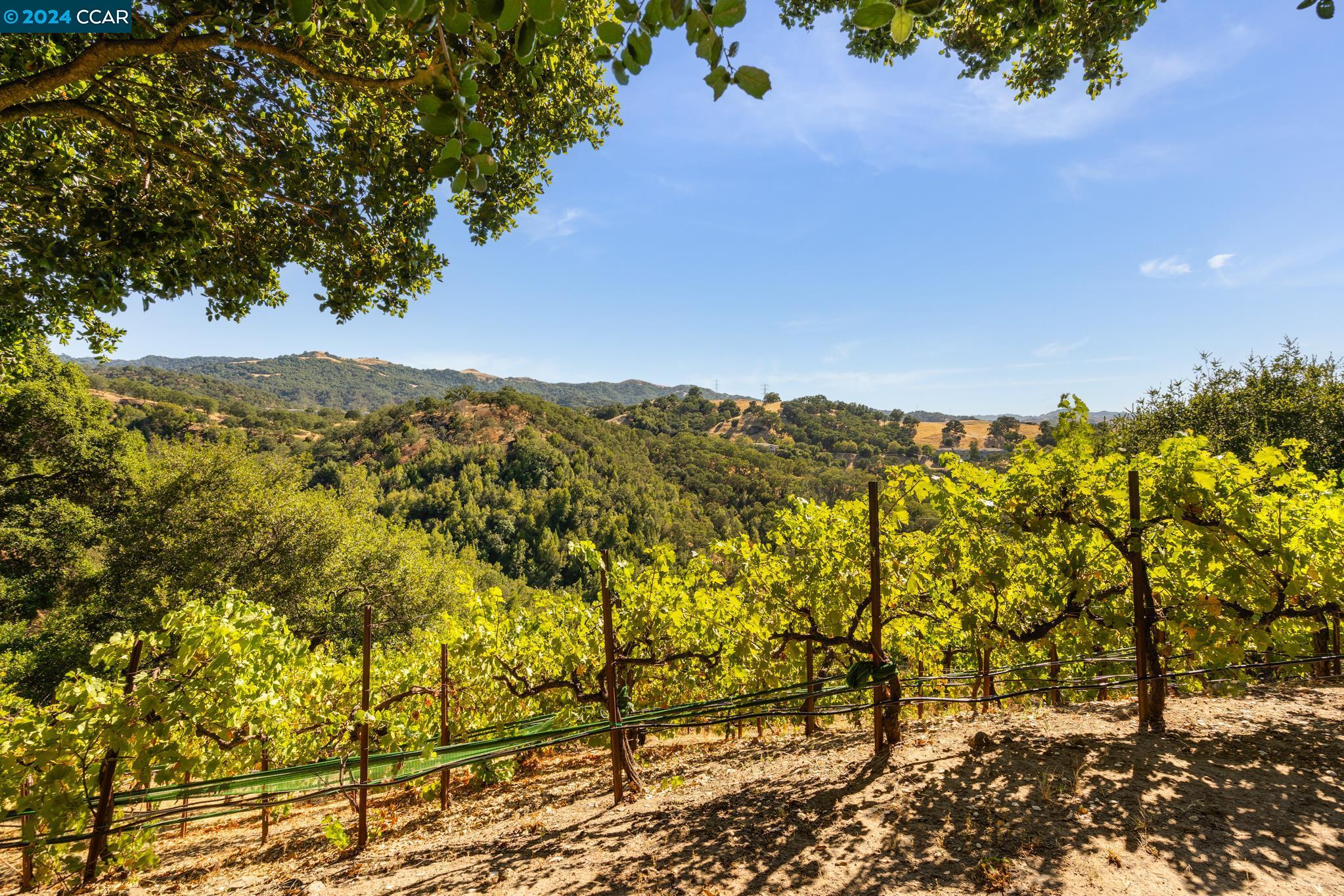 336 Castle Crest Road