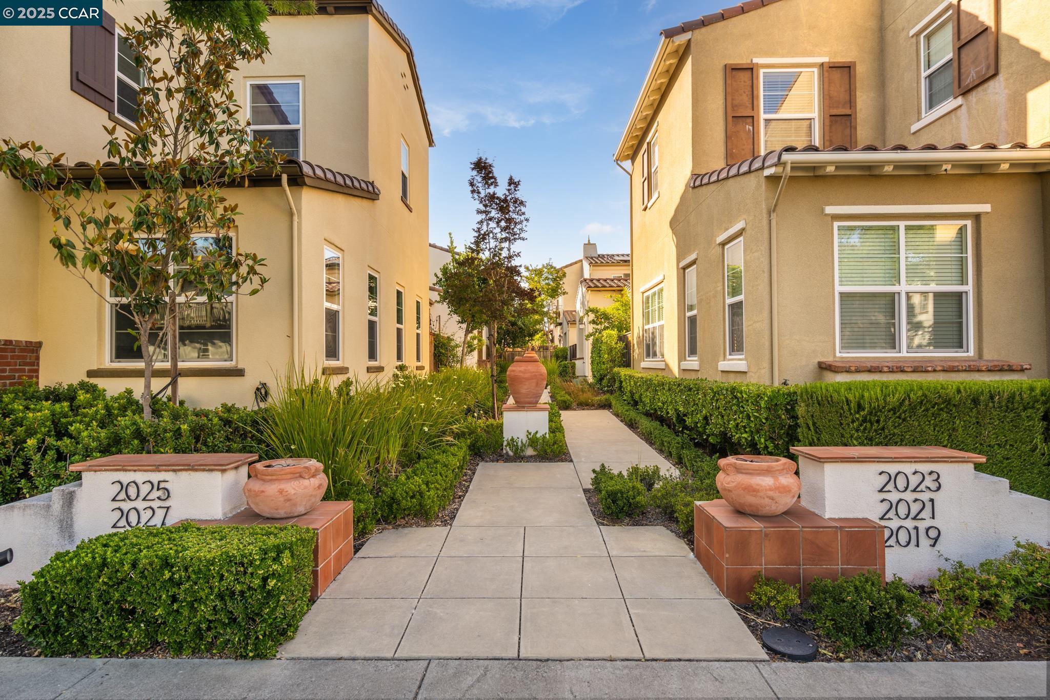 2019 Tarragon Rose Ct