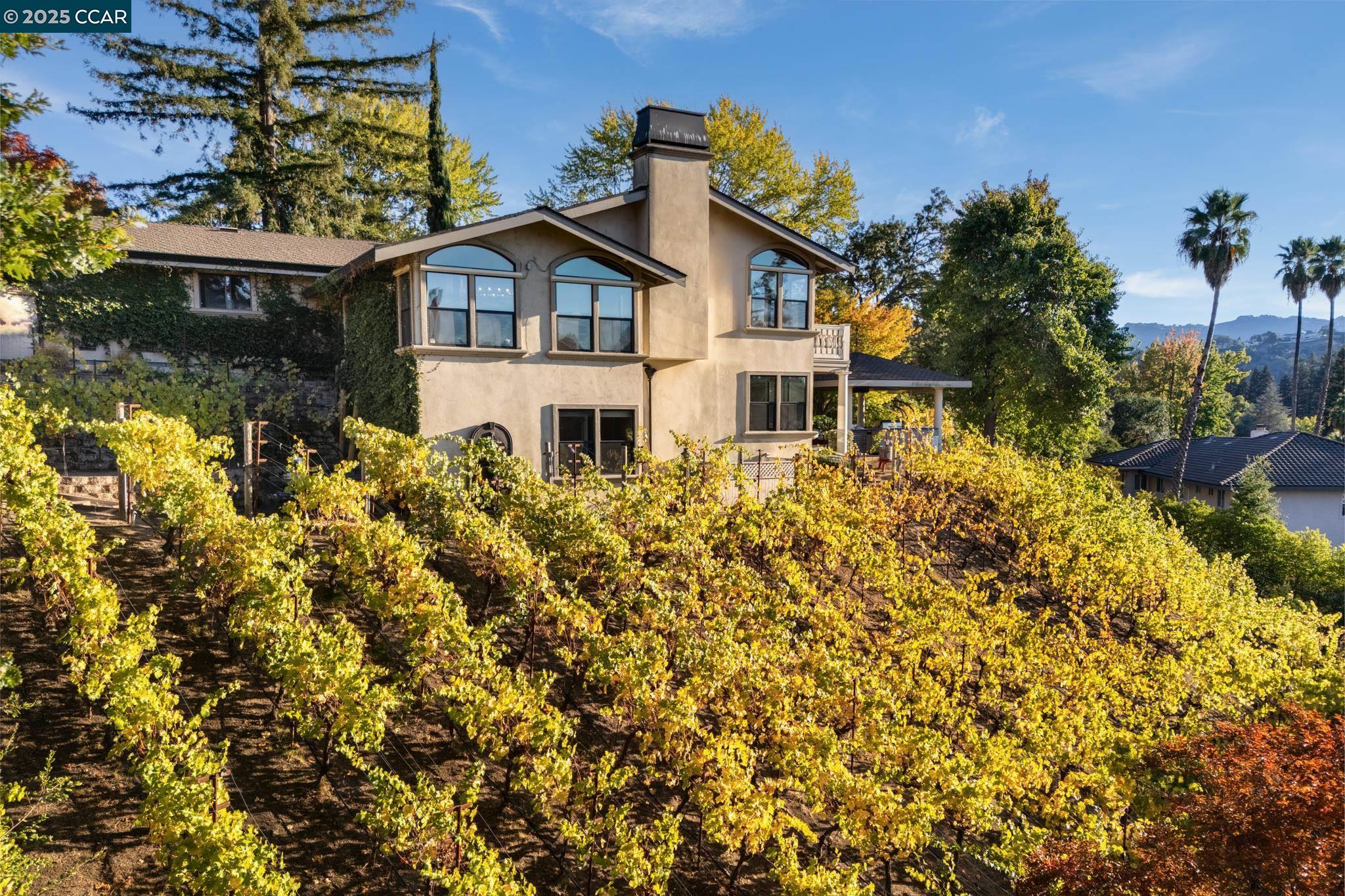 13 Kemp Ct, Alamo