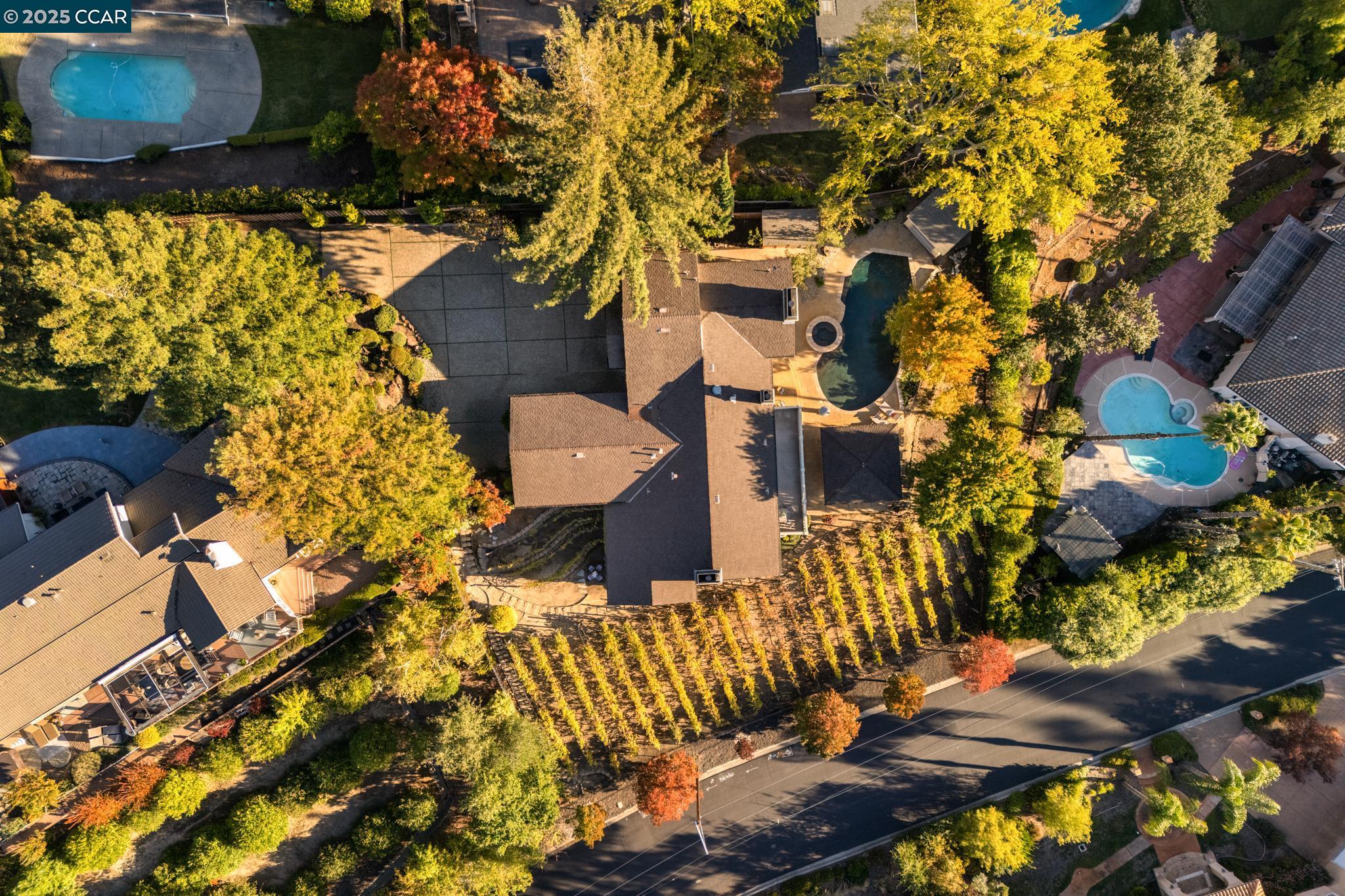 13 Kemp Ct, Alamo