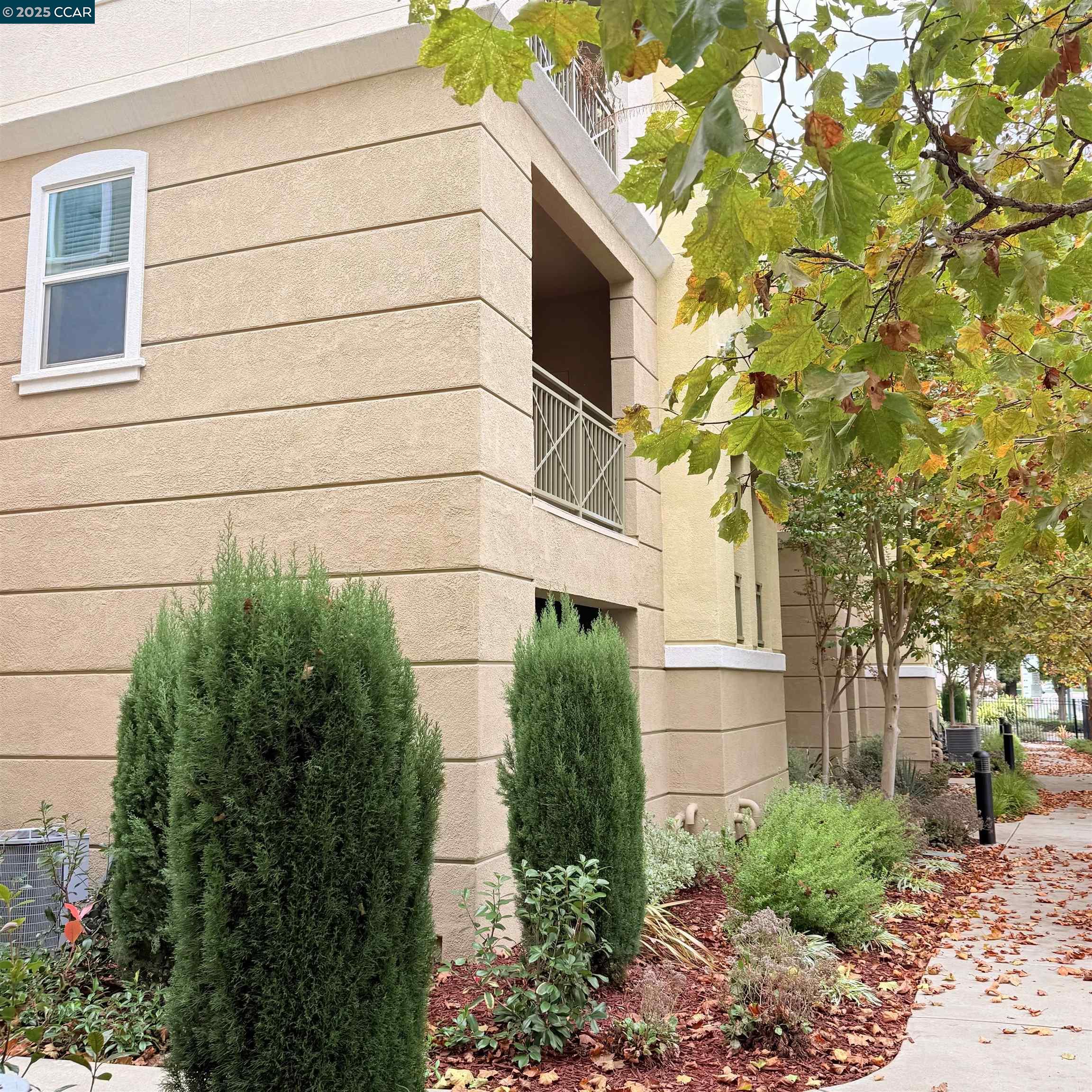 4704 Norris Canyon Rd # 101