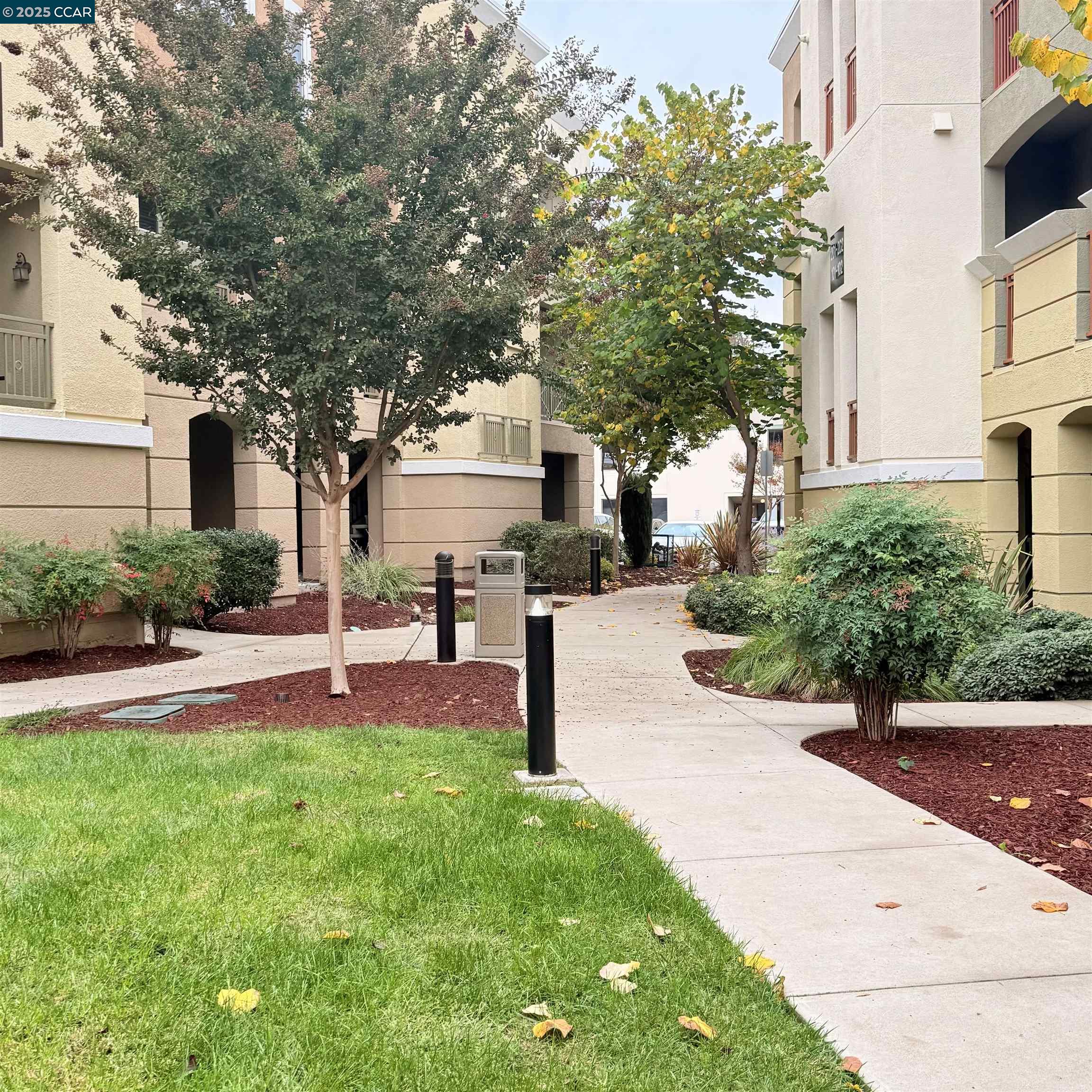 4704 Norris Canyon Rd # 101