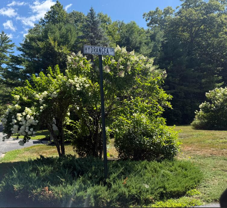 83 Hydrangea Circle, 11