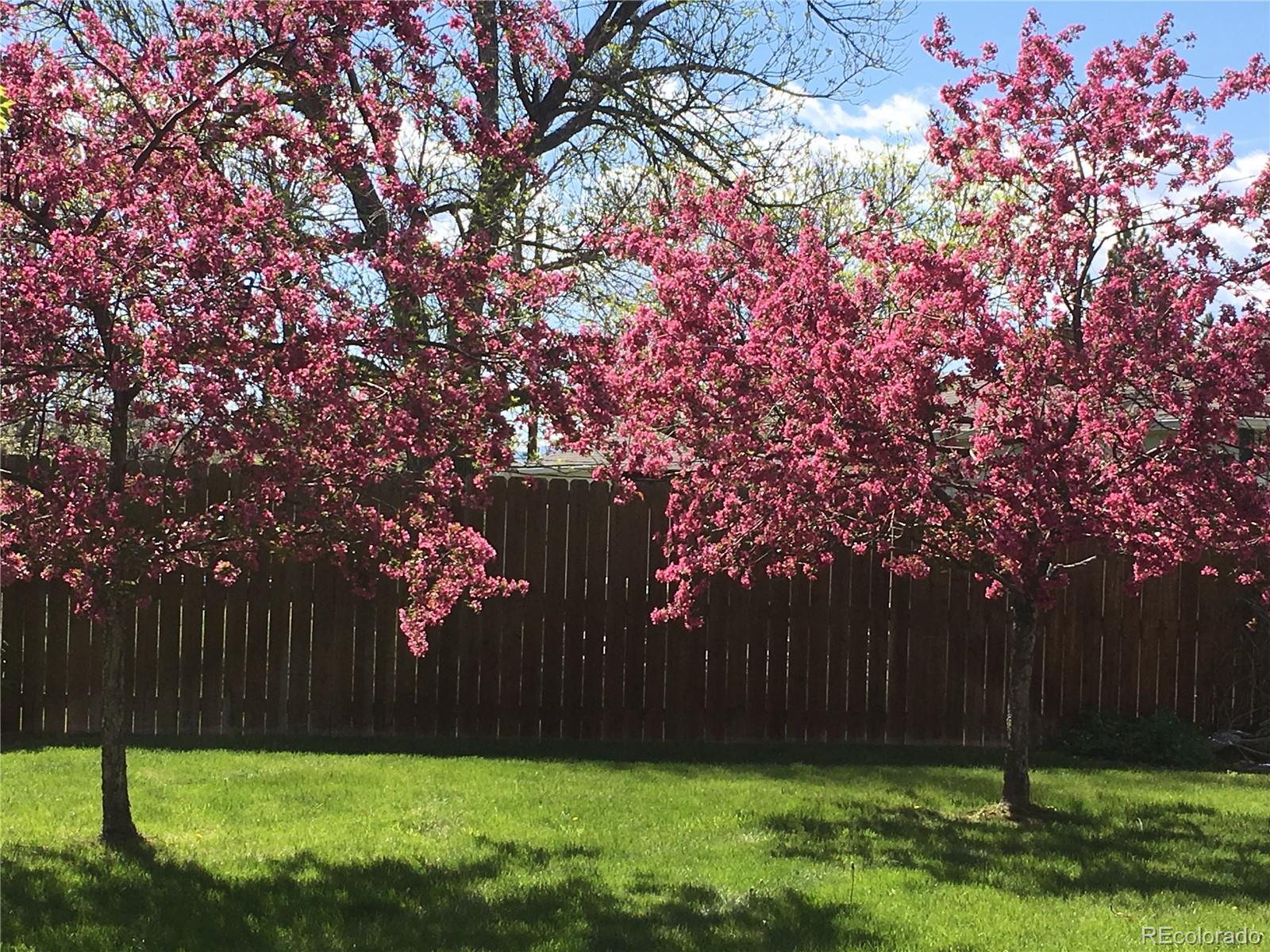 7474 Broadview Drive