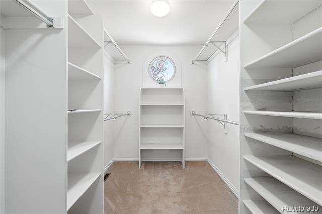 16880 Wild Plum Circle