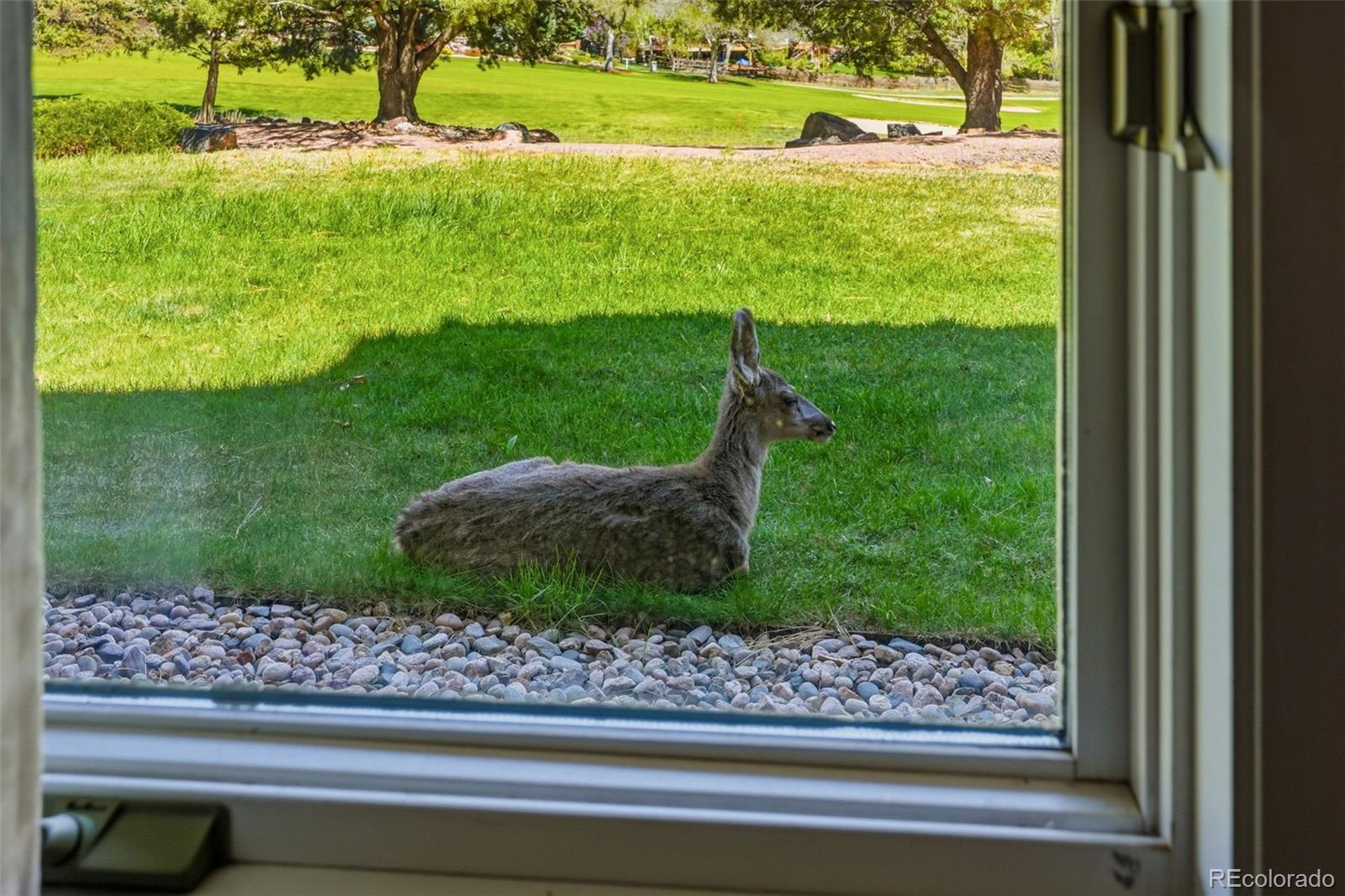 16880 Wild Plum Circle