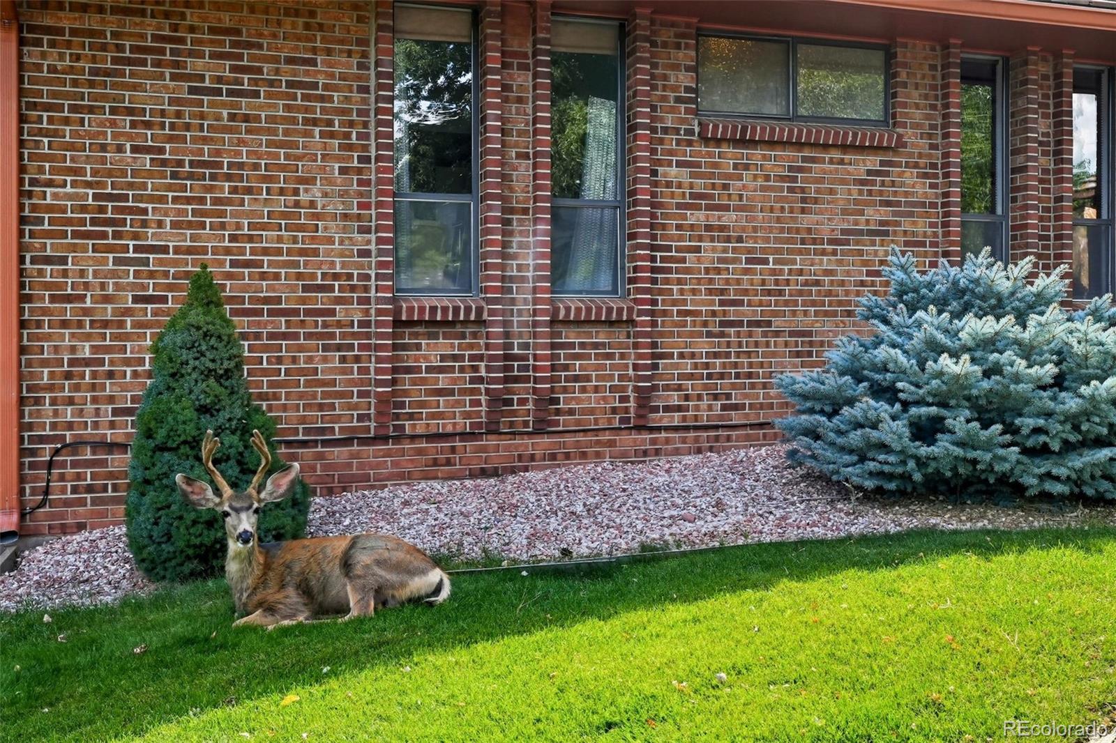 16066 Ridge Tee Drive