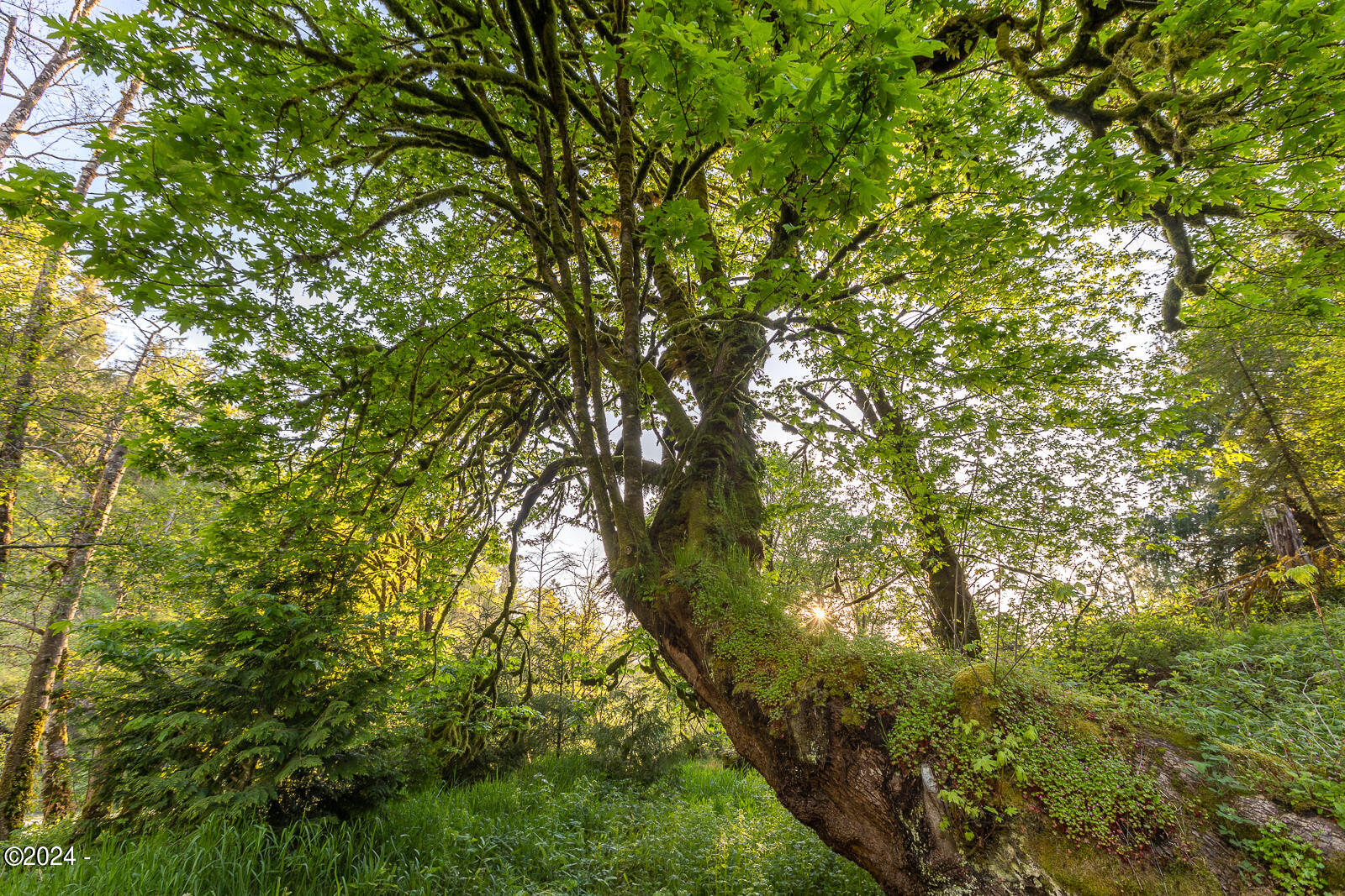 24750 River Bend Road