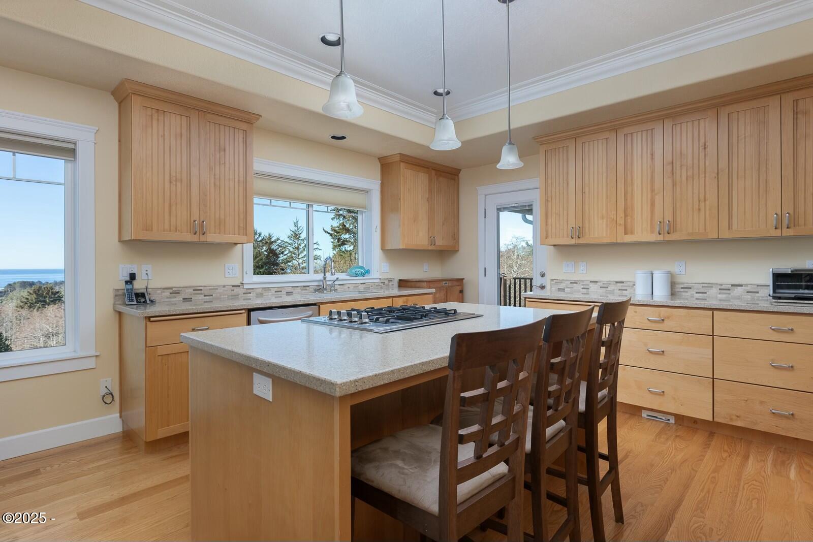 46460 Whale Watch Drive