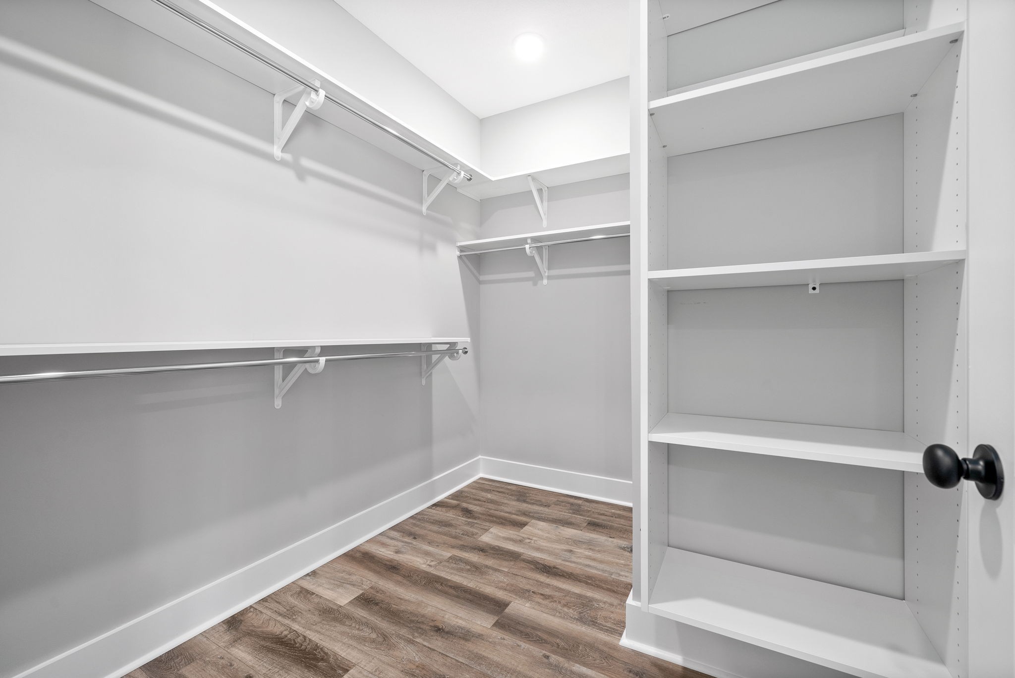 486 Spiderwort Drive