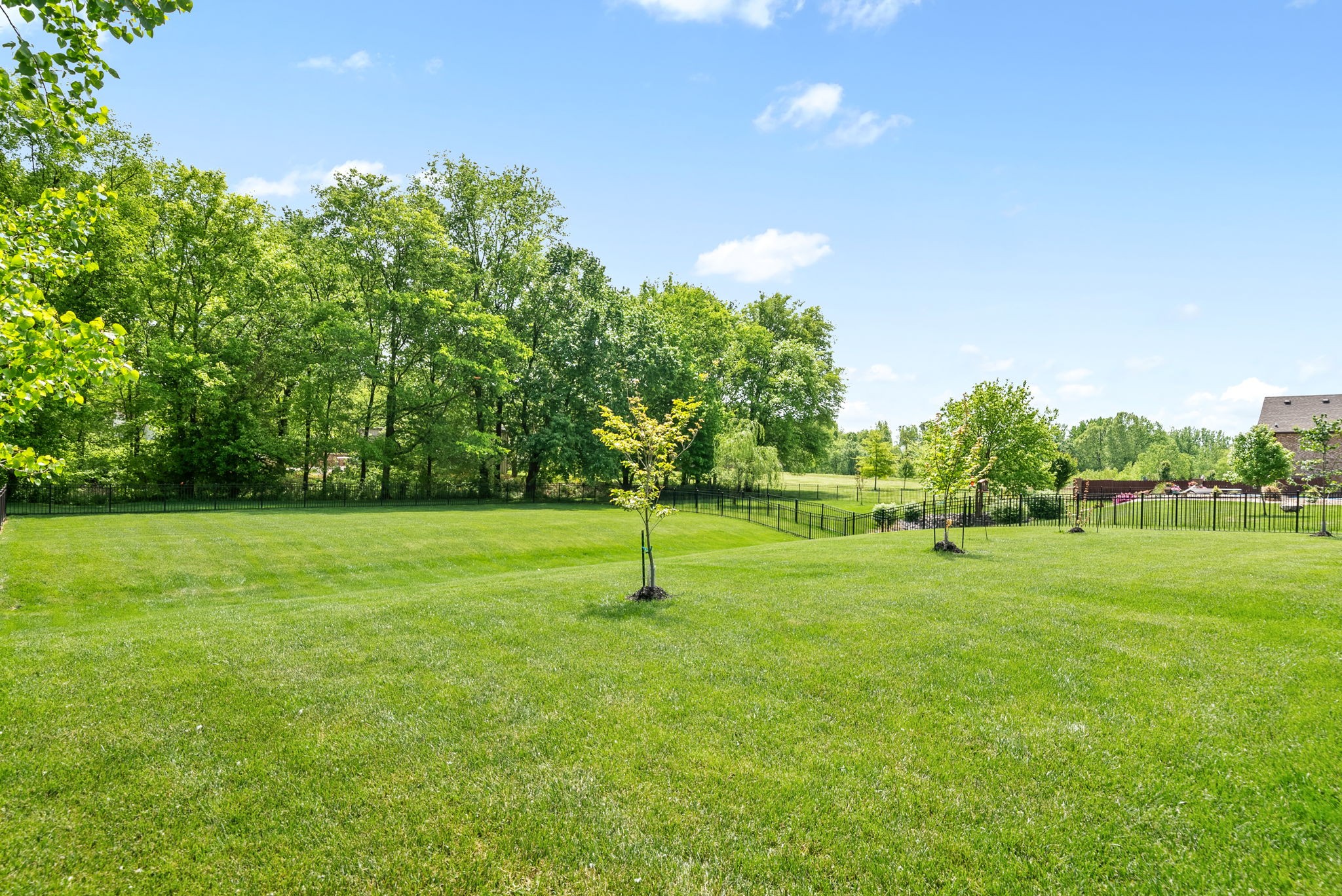 3153 Carrie Taylor Cir