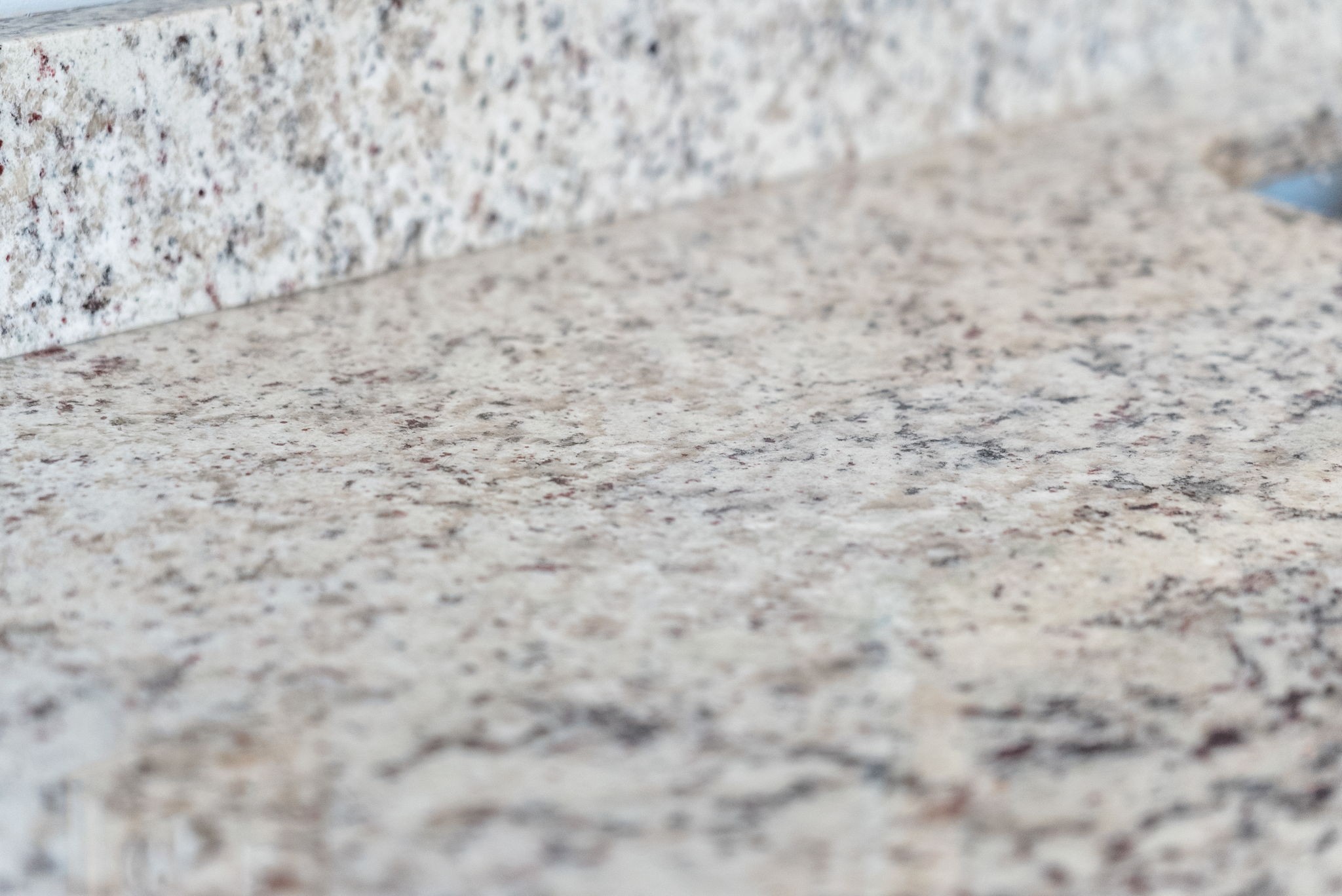 1544 Cedar Springs Cir