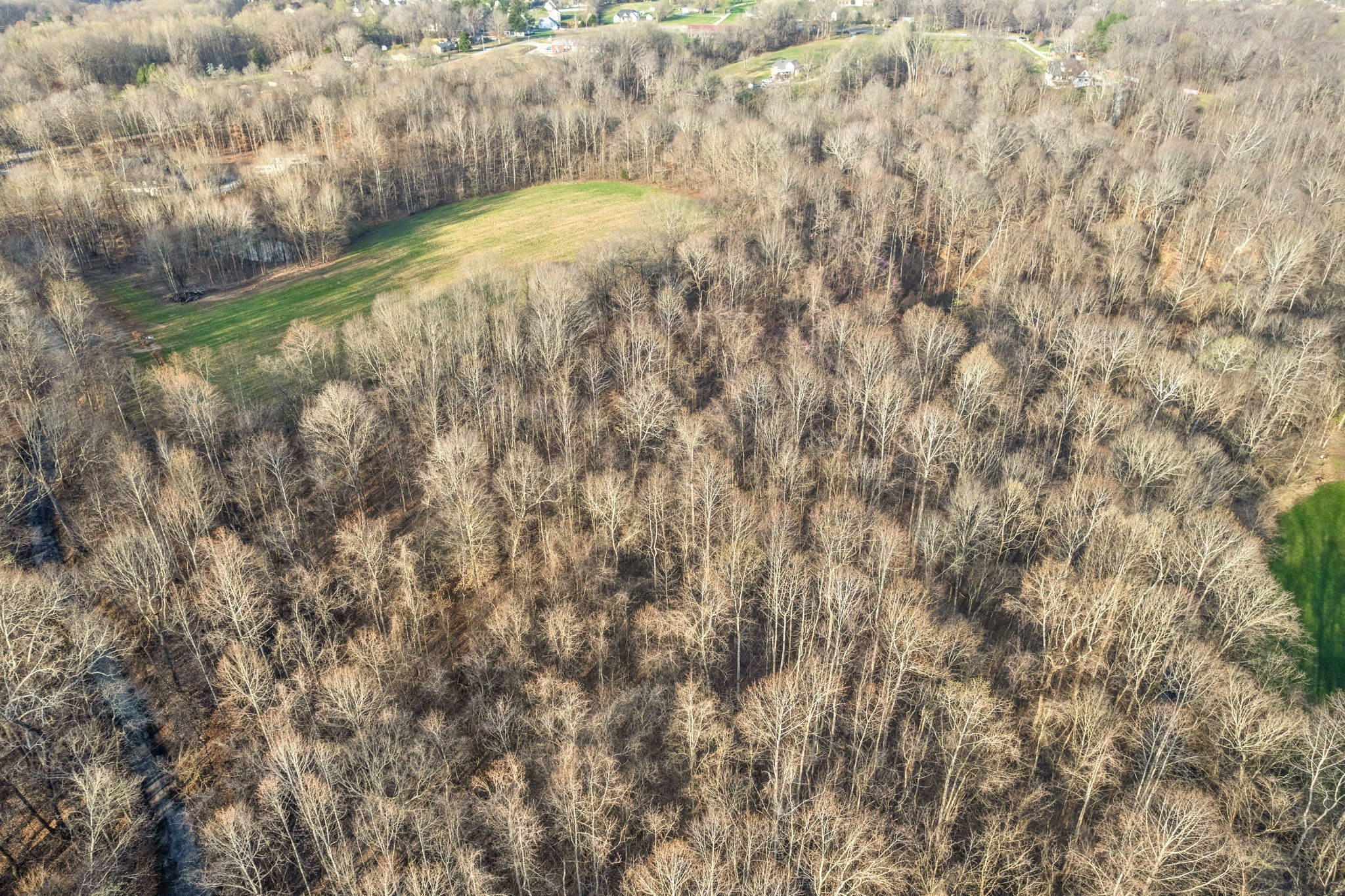 880 Wiley Brown Road