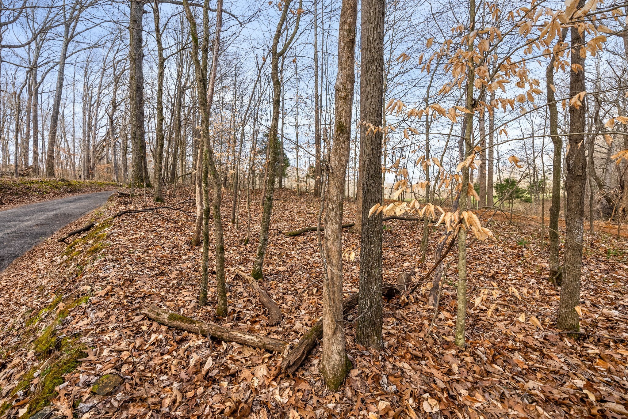 880 Wiley Brown Road